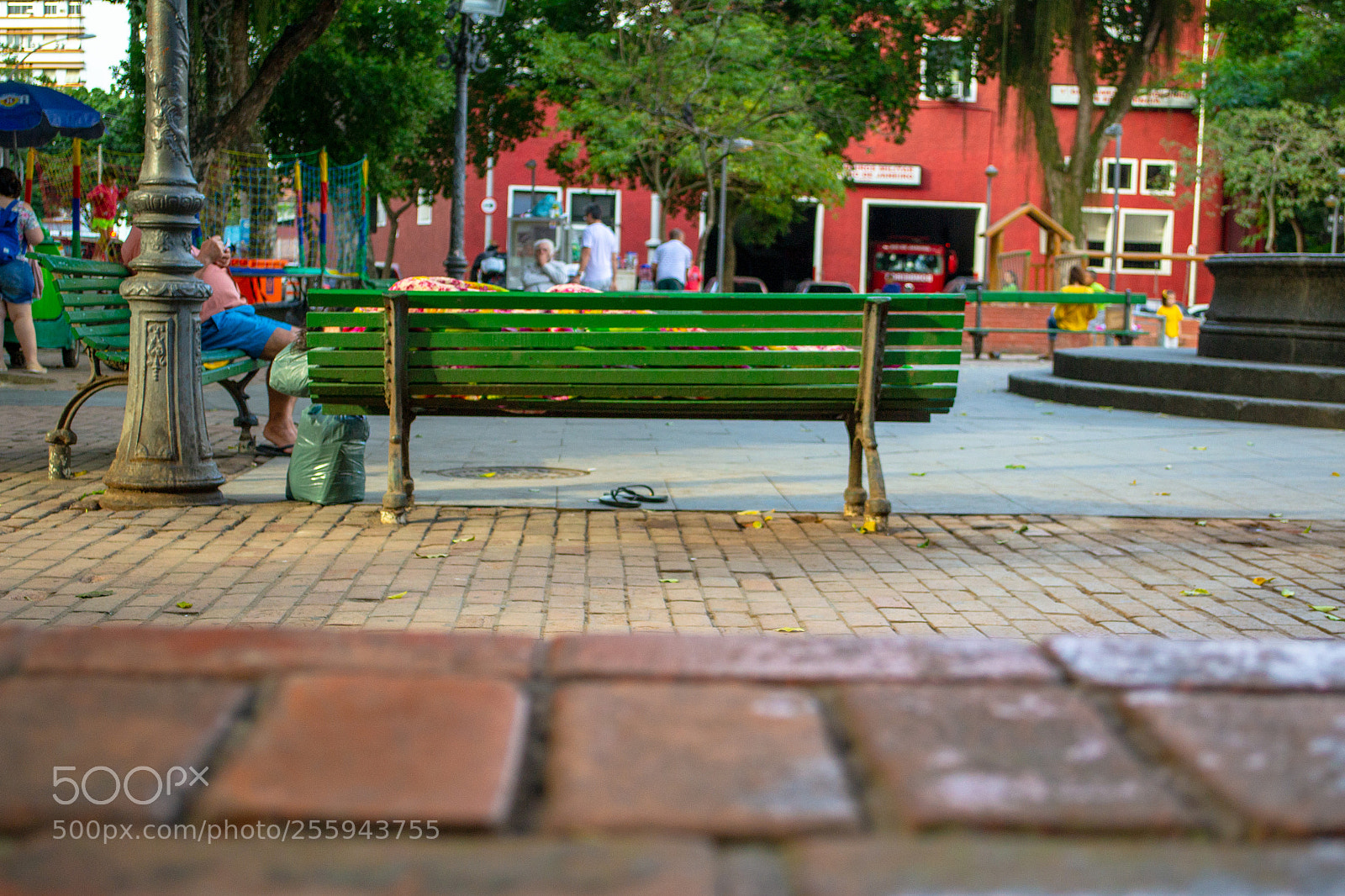 Nikon D3100 sample photo. Sleeping in the bench photography