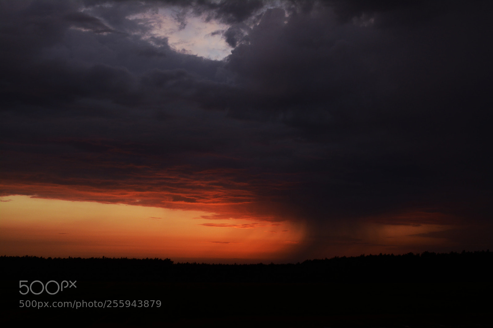 Nikon D5200 sample photo. Apocalypse photography