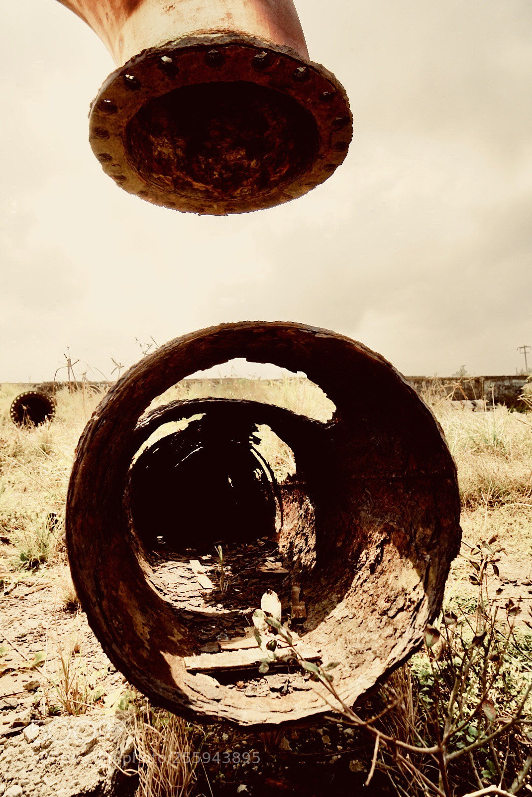 Sony a7 II sample photo. Rotting pipeline photography
