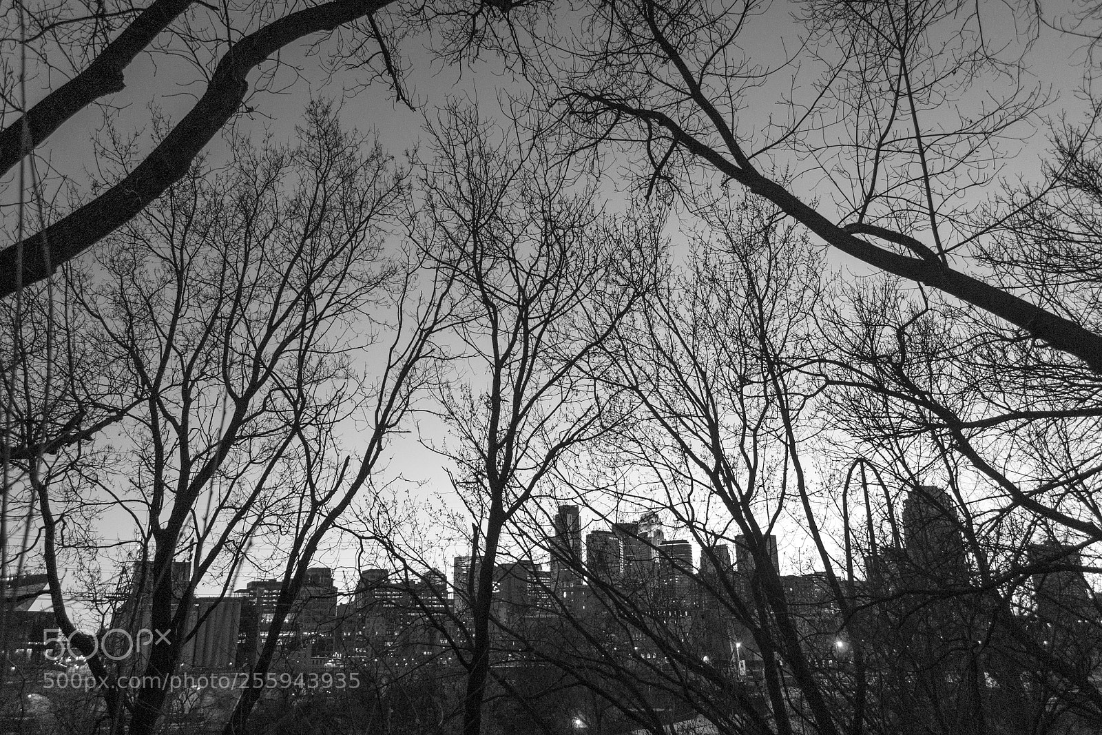 Nikon D3100 sample photo. Minneapolis through the night photography