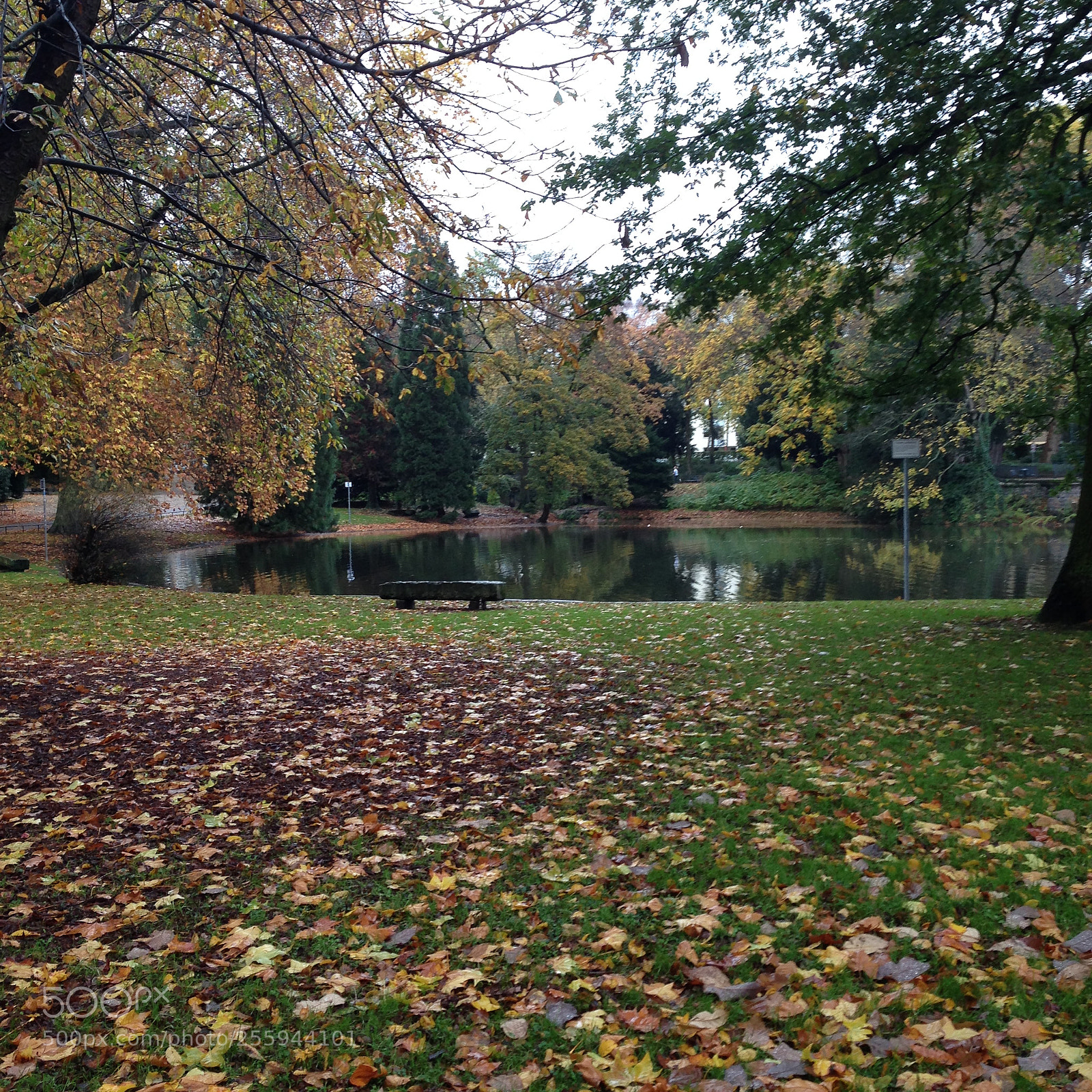 Apple iPhone 5 sample photo. Cologne park photography
