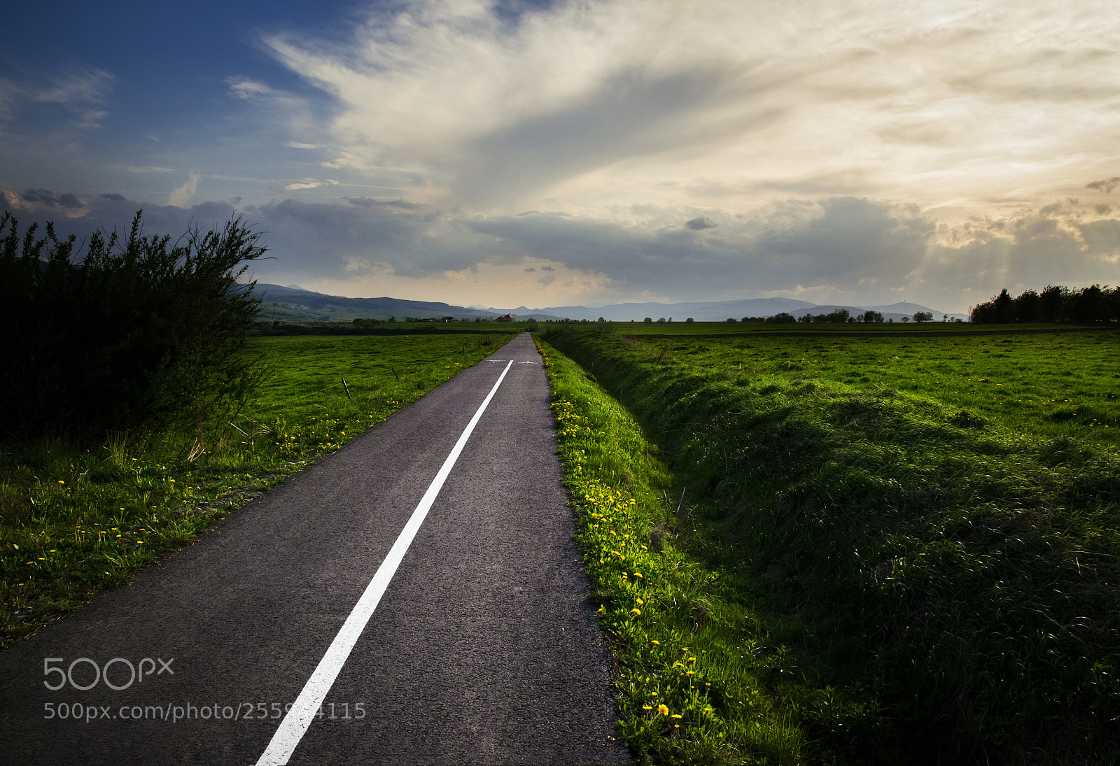 Nikon D5500 sample photo. Way into the distance photography