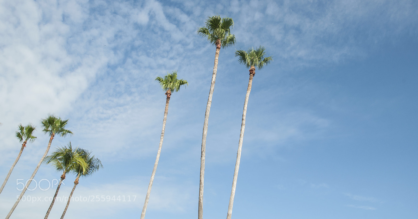 Nikon D90 sample photo. Beverly photography
