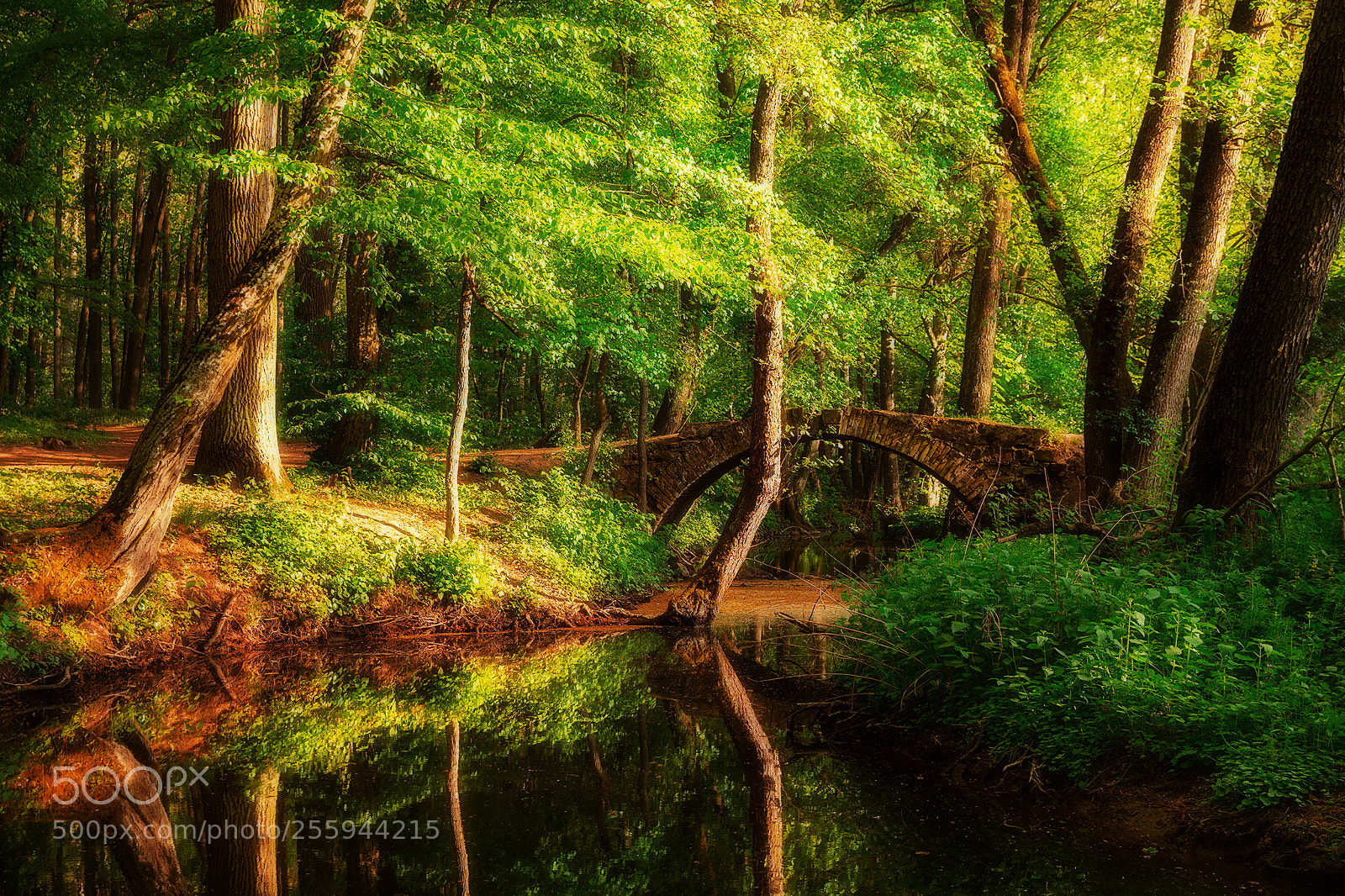 Nikon D7100 sample photo. Stone bridge photography