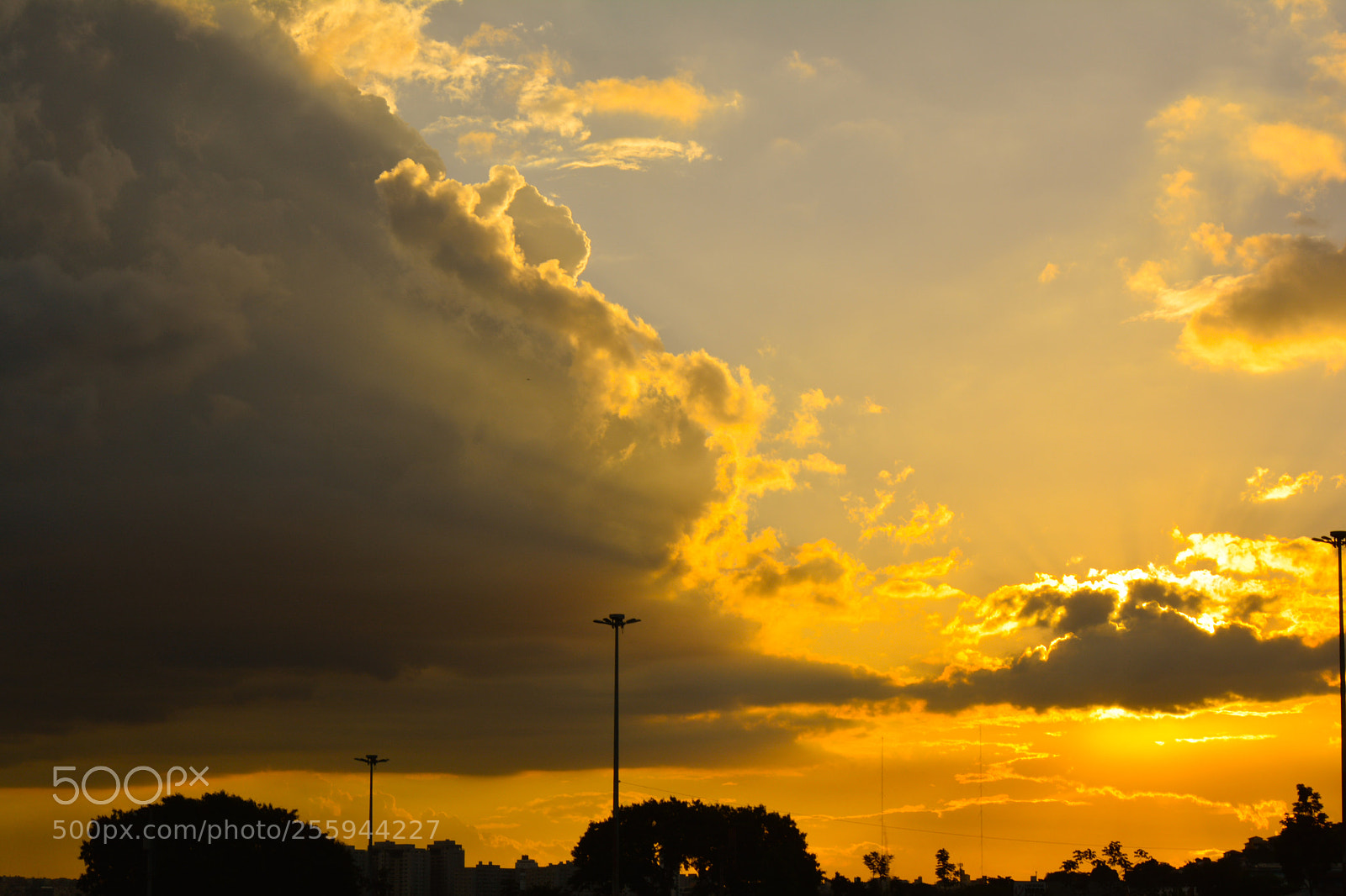 Nikon D5200 sample photo. Liberdade photography