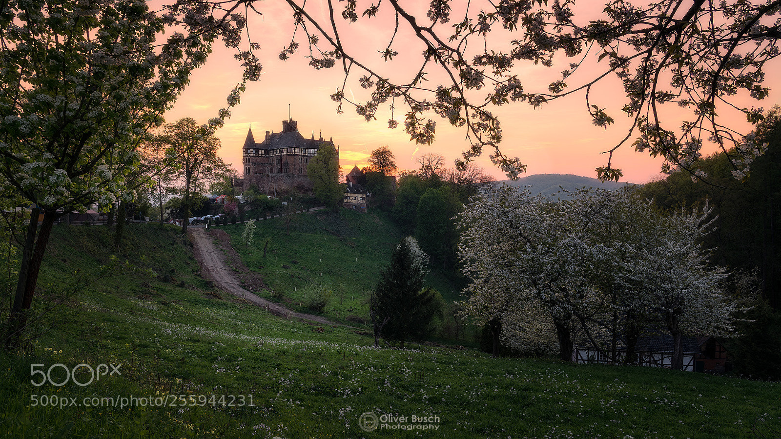 Sony a7R II sample photo. Spring at the castle photography