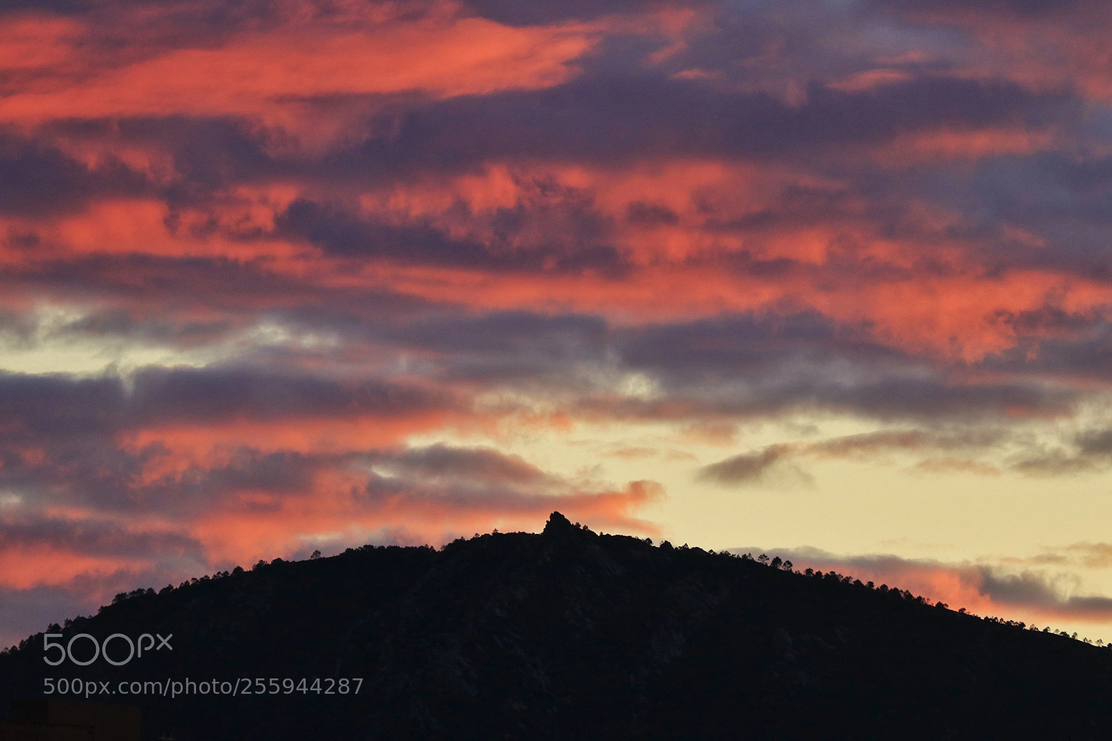 Canon EOS 80D sample photo. Sunset hill photography