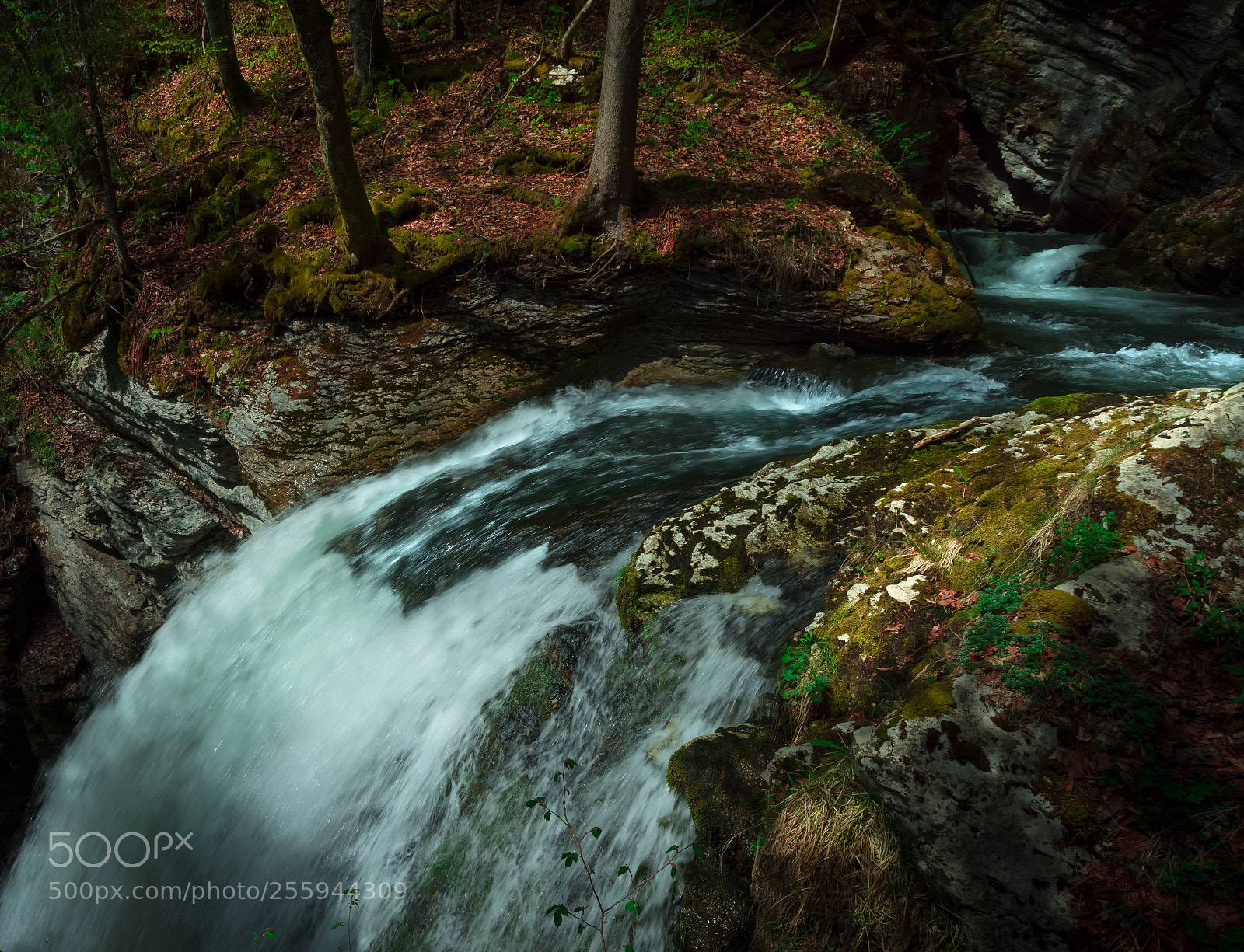 Sony a7R sample photo. Thurfälle photography