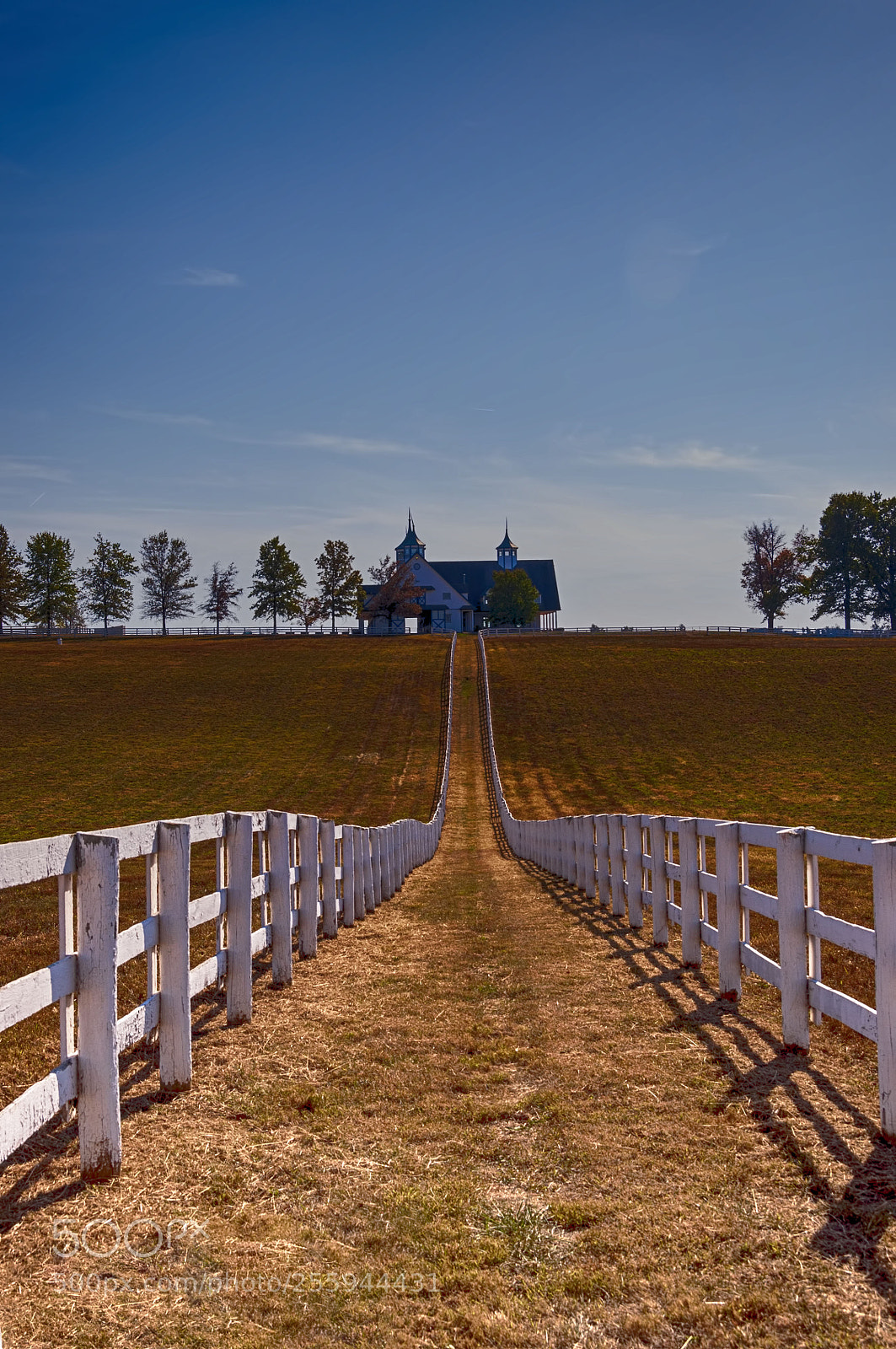 Nikon D90 sample photo. Farm fence photography
