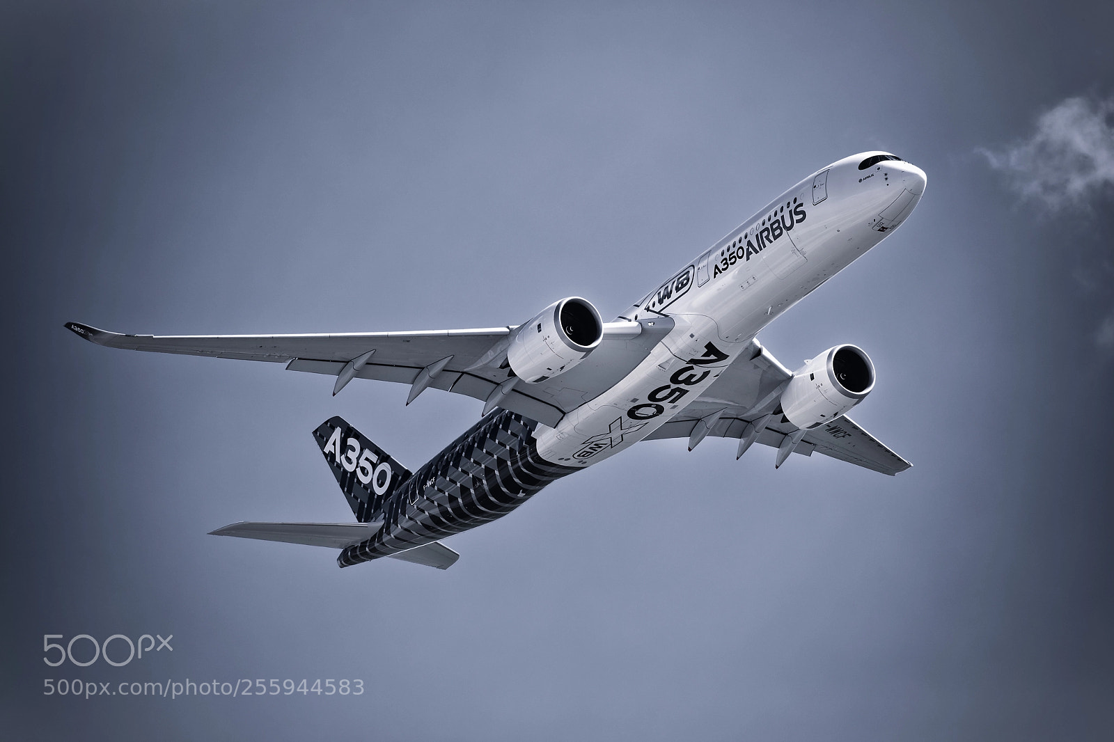 Canon EOS 5D Mark IV sample photo. A 350 xwb photography