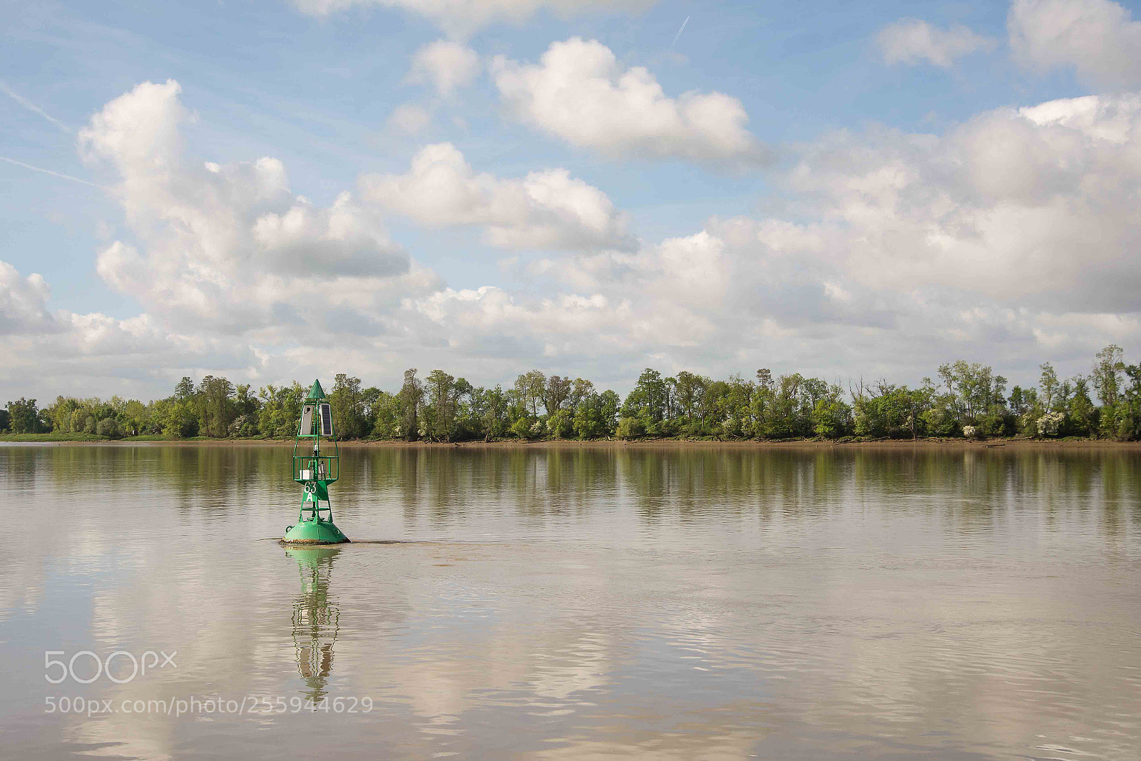 Nikon D610 sample photo. Reflections at the estuary photography