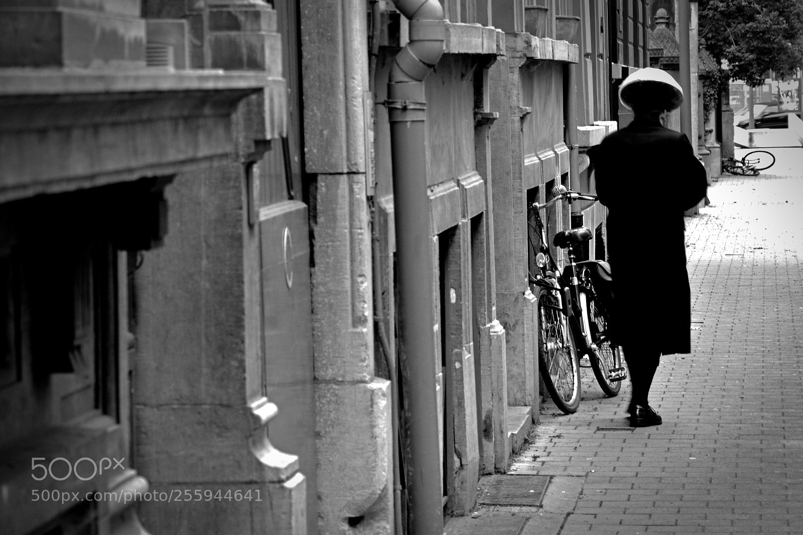 Nikon D7100 sample photo. Walking photography