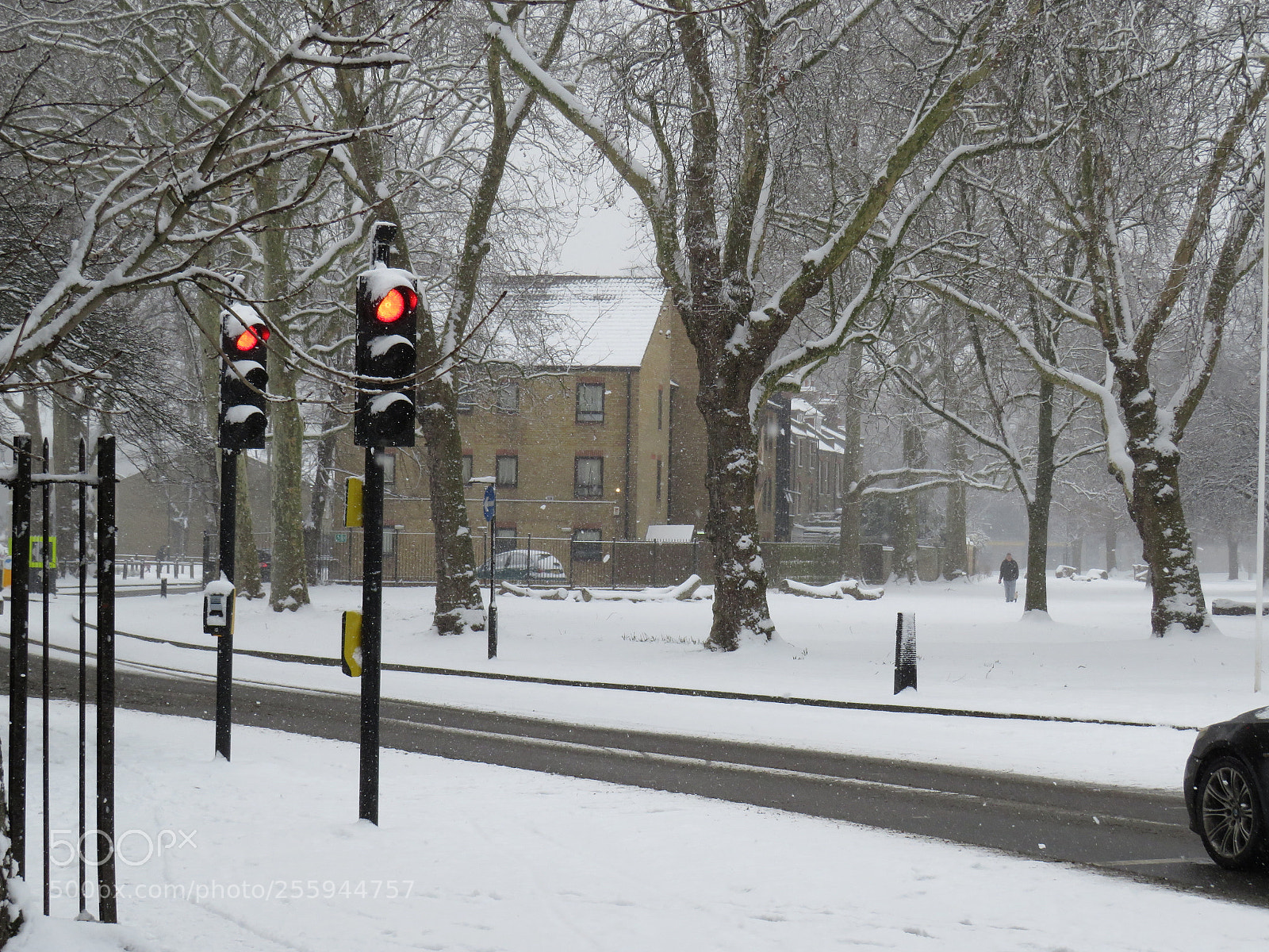 Canon PowerShot SX540 HS sample photo. Beast from the east photography