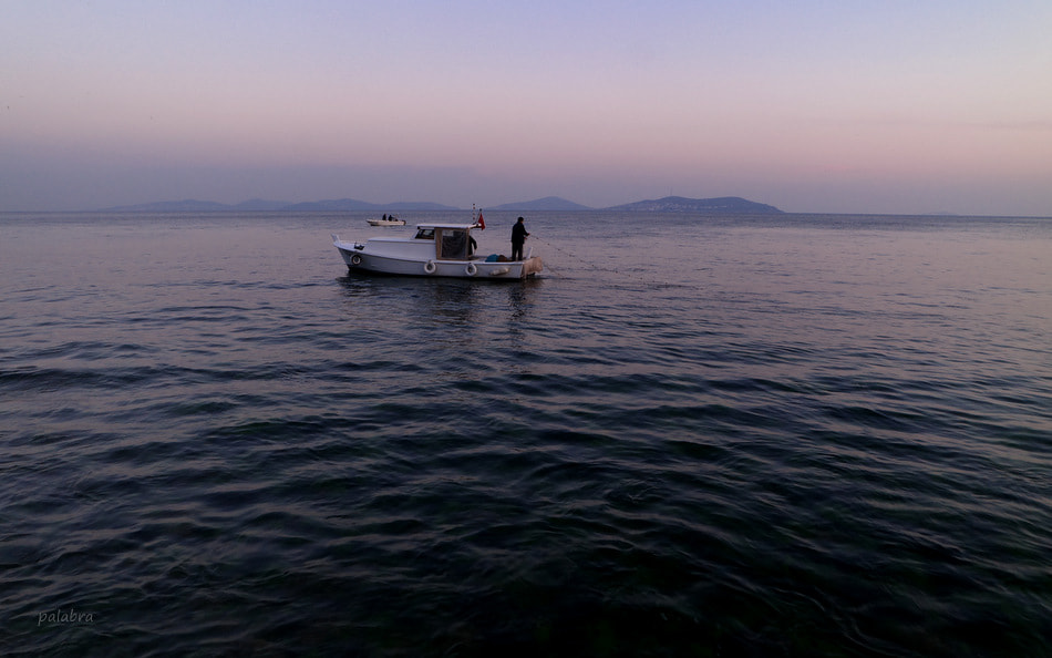 Samsung NX30 sample photo. ... photography