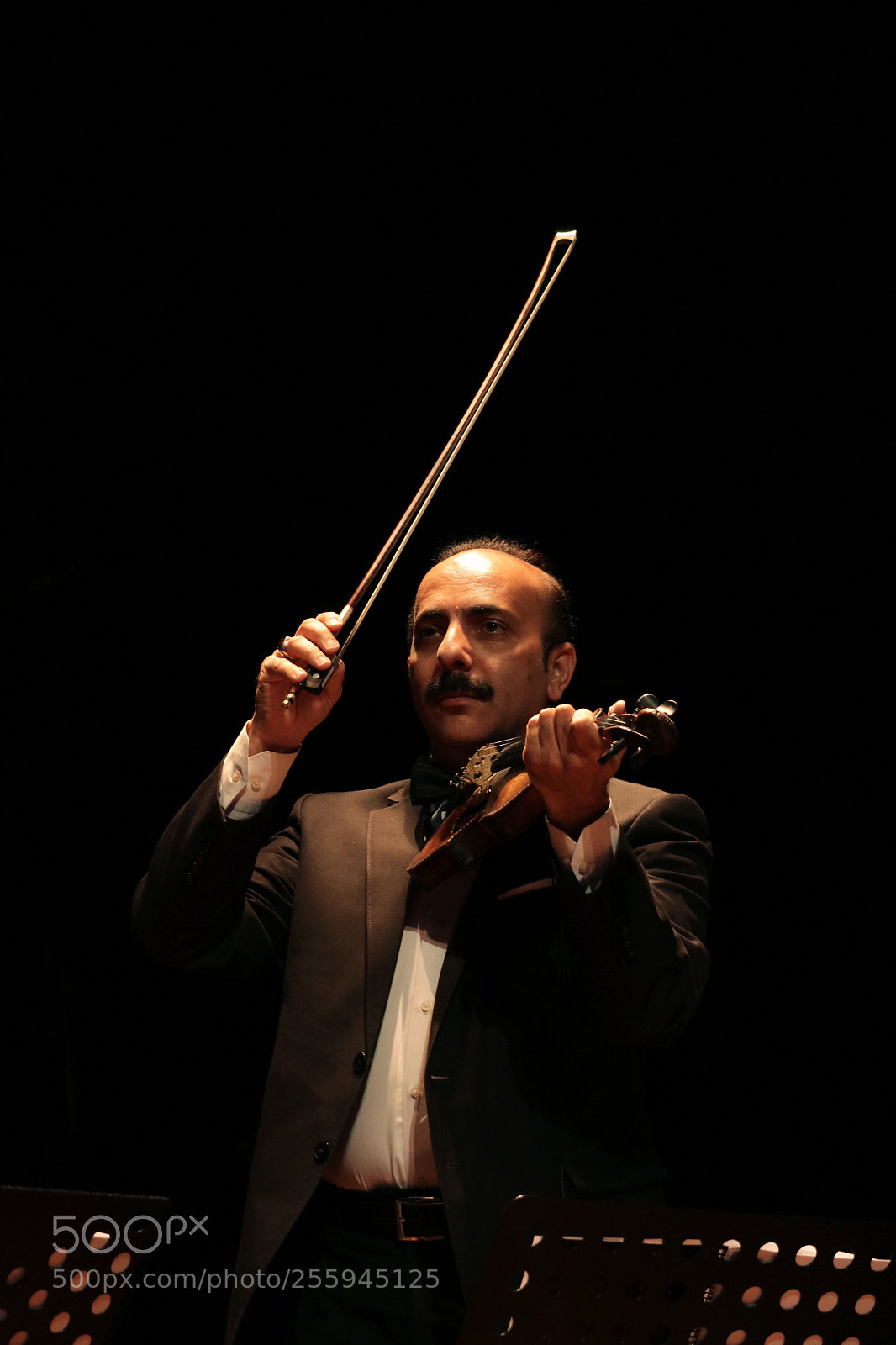 Canon EOS 80D sample photo. Violin photography