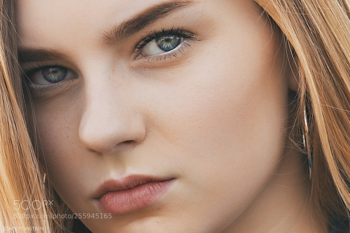 Canon EOS 6D Mark II sample photo. Simplicity photography