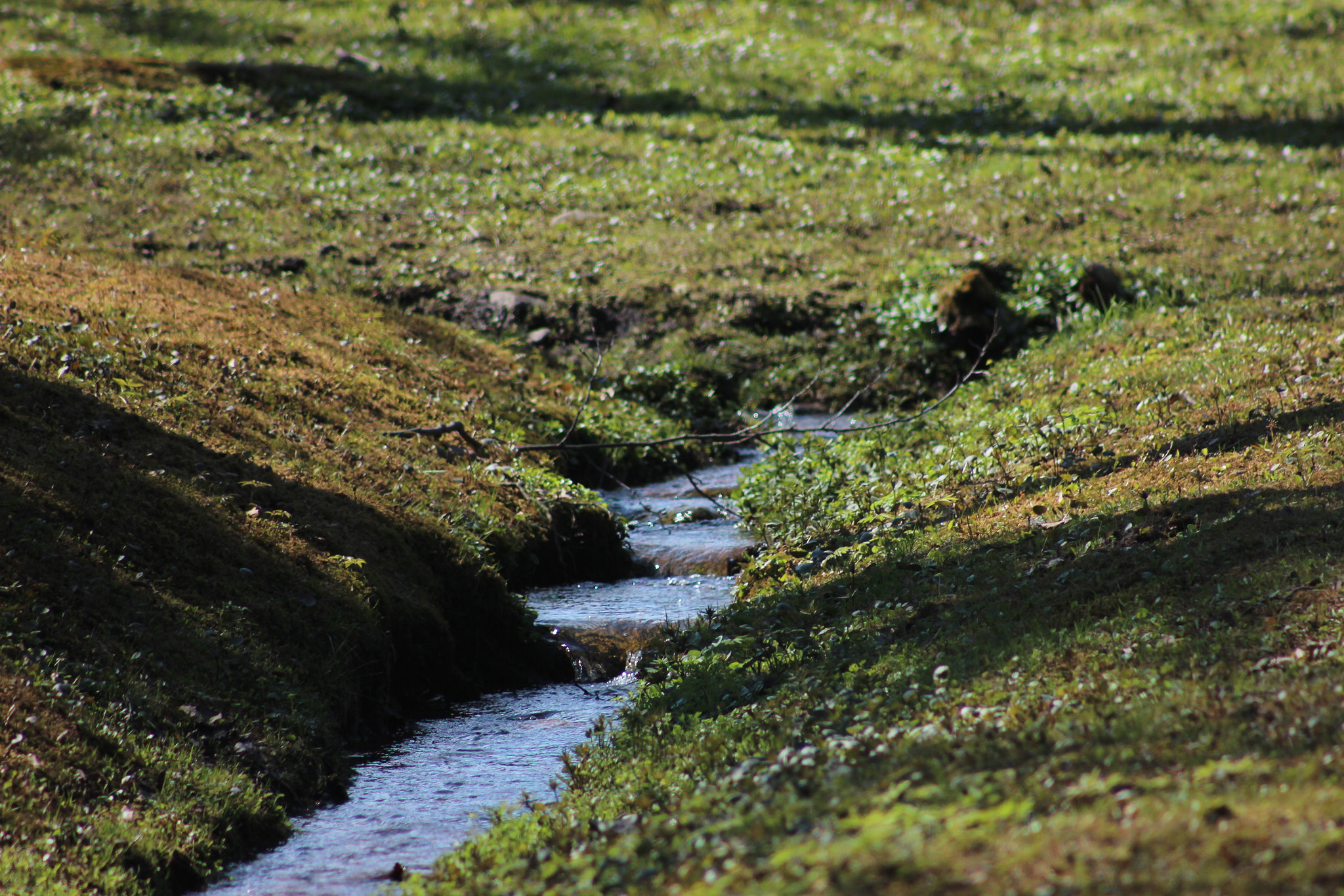 Canon EF 75-300mm f/4-5.6 sample photo. Littel river photography