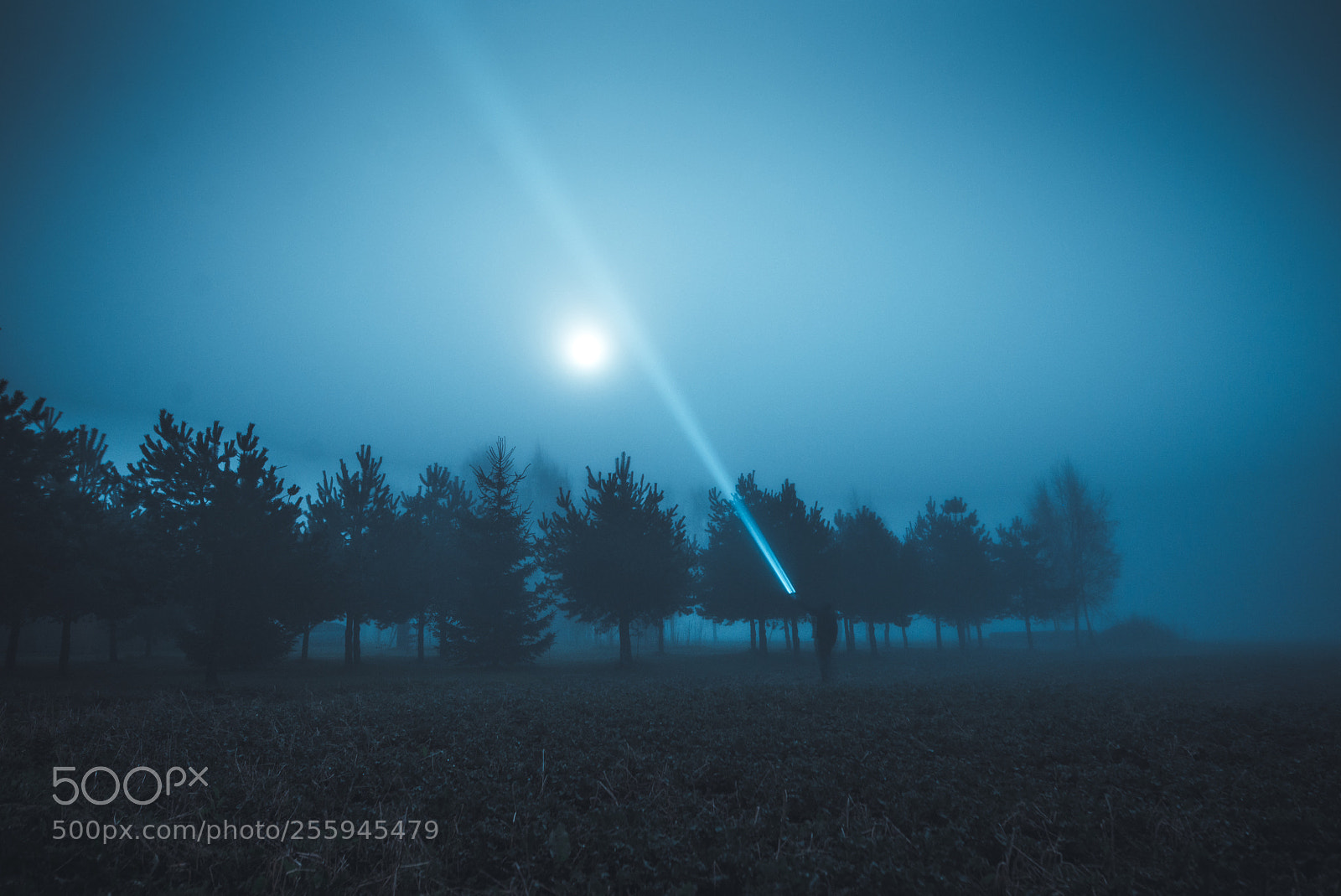 Nikon D610 sample photo. Moonlight mood photography