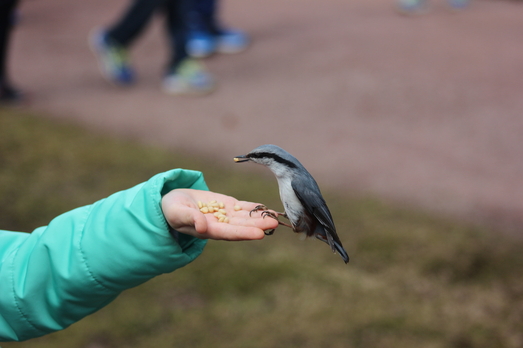 Canon EF 75-300mm f/4-5.6 sample photo. Eat photography