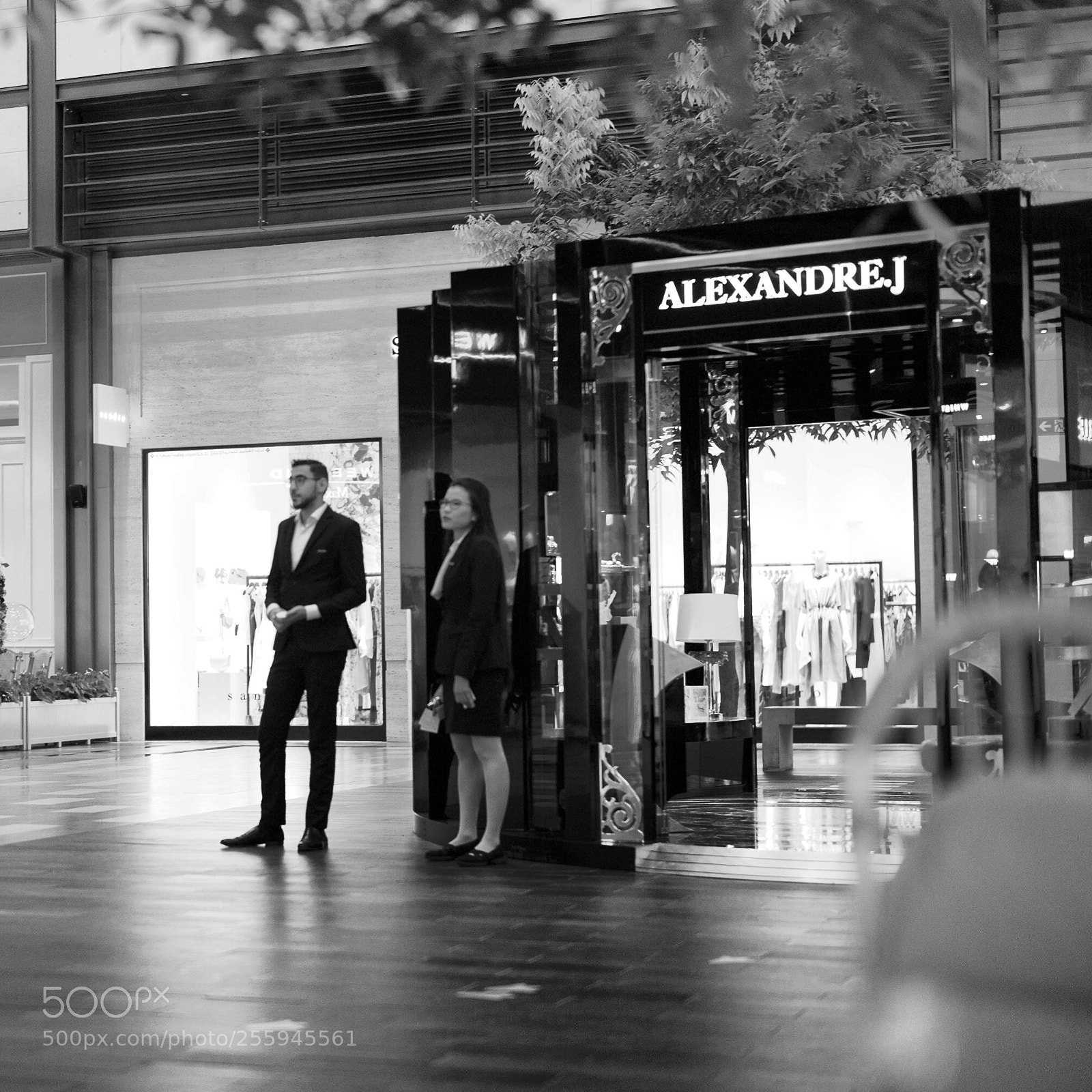 Leica M9 sample photo. Untitled photography
