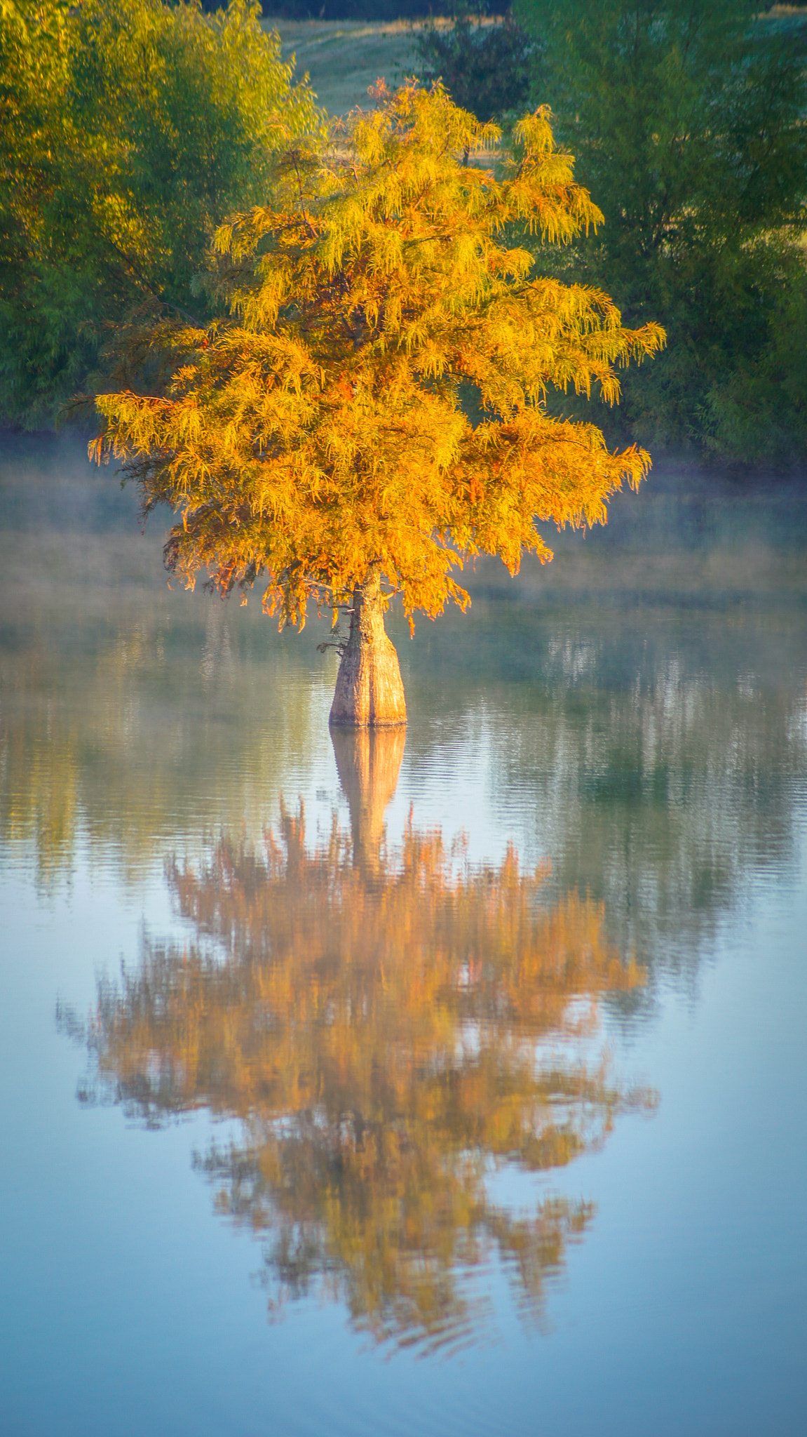 Sony SLT-A35 sample photo. Reflections photography