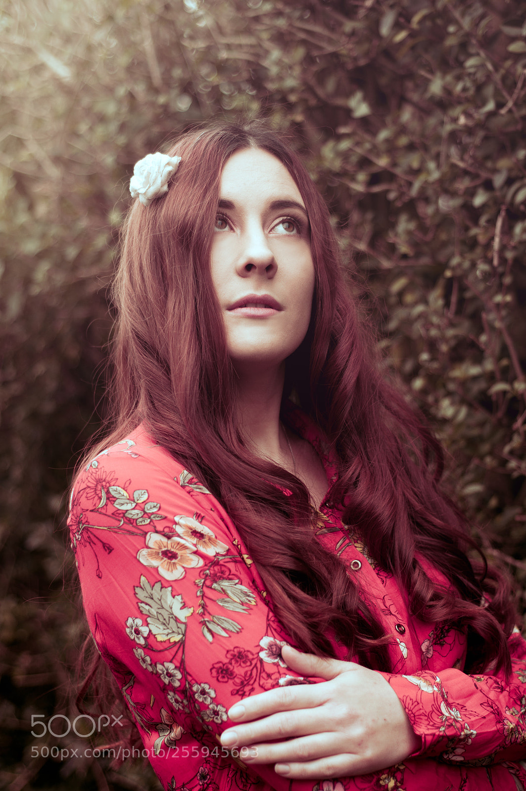 Nikon D90 sample photo. Florence photography