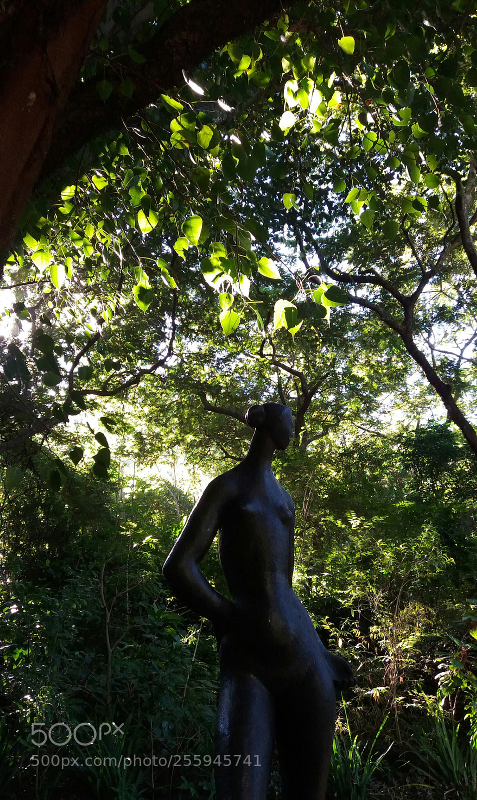 Samsung Galaxy J5 sample photo. Catacumba park photography