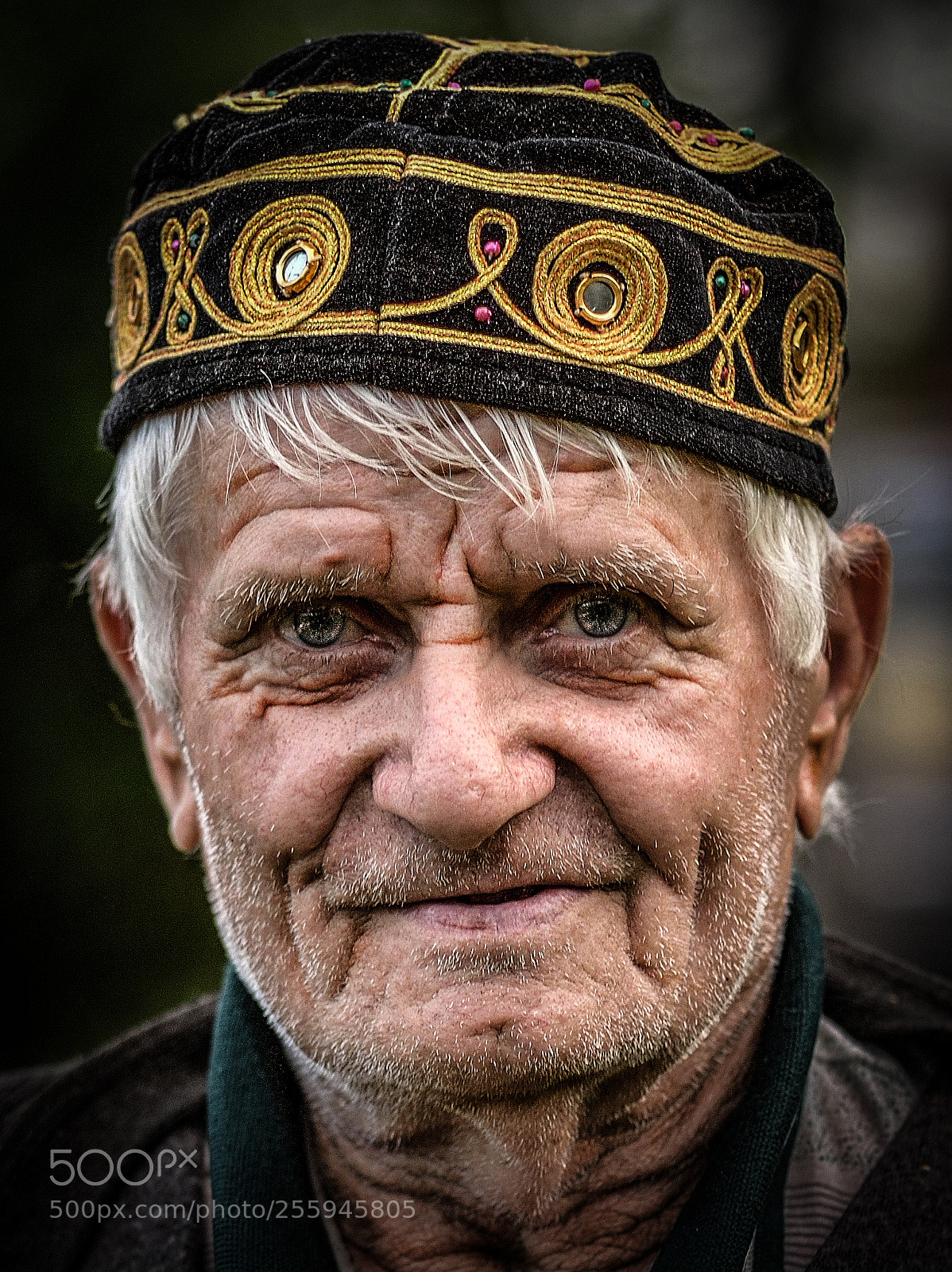 Nikon D610 sample photo. Ramo dautovic photography