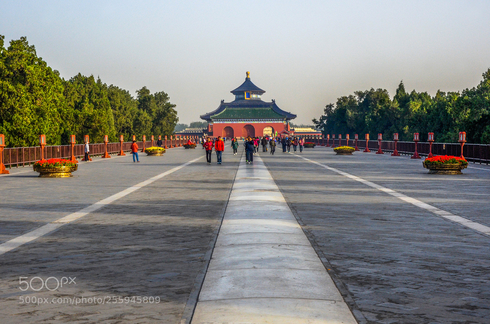 Nikon D7000 sample photo. Path to temple of photography