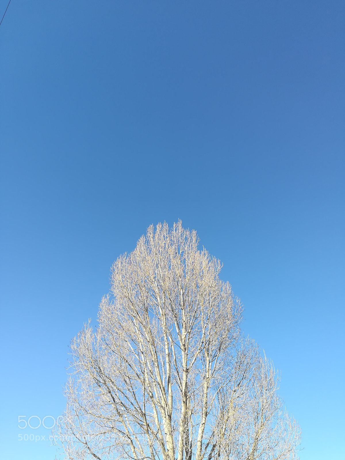 HUAWEI P10 lite sample photo. White walker photography