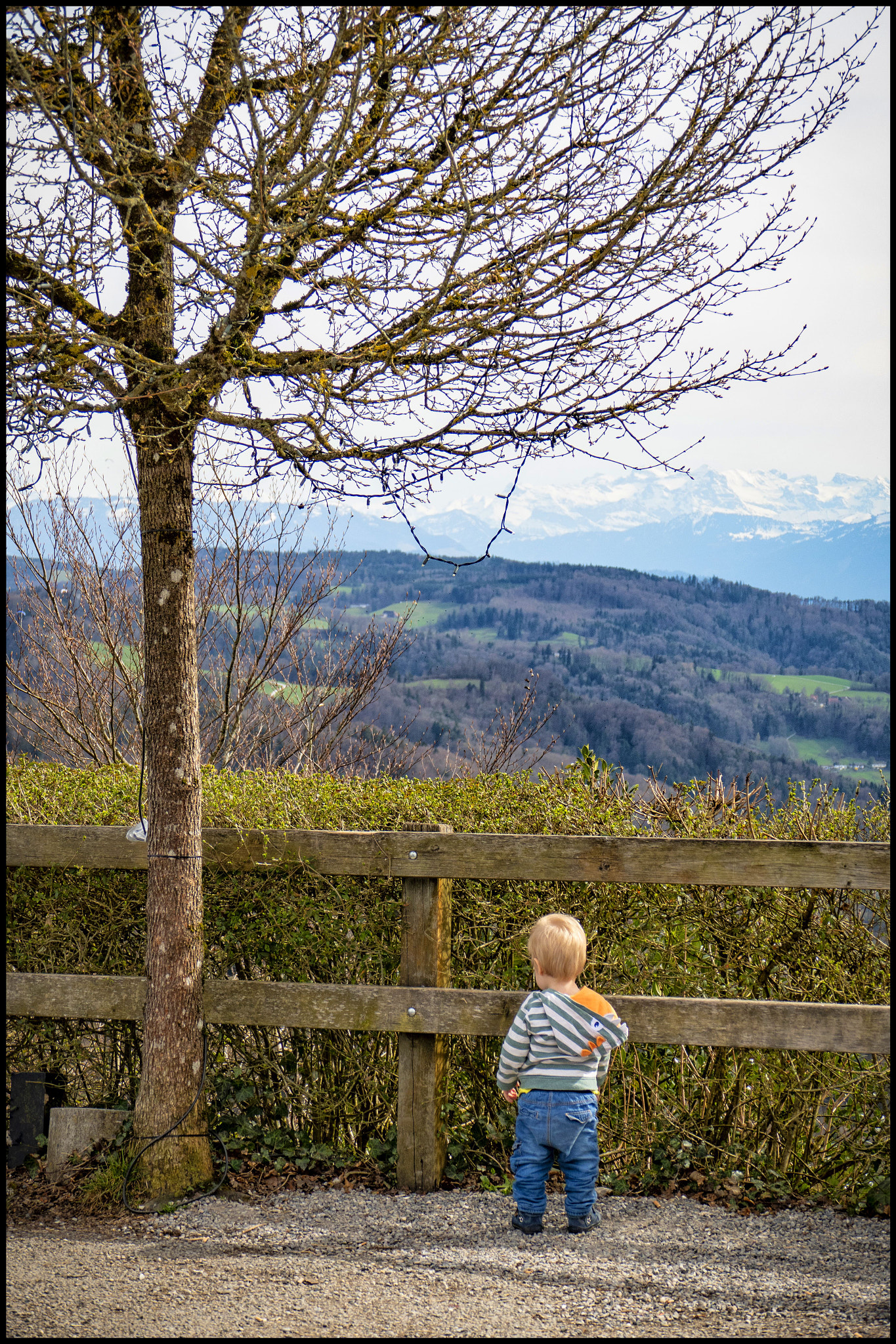 Leica V-Lux (Typ 114) sample photo. '' i wonder may i pee here ? '' photography