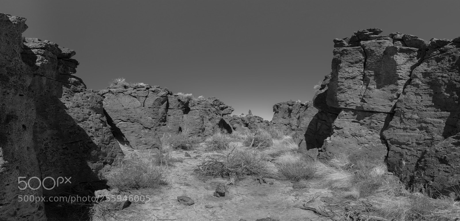 Sony a7R II sample photo. Flatiron grey photography
