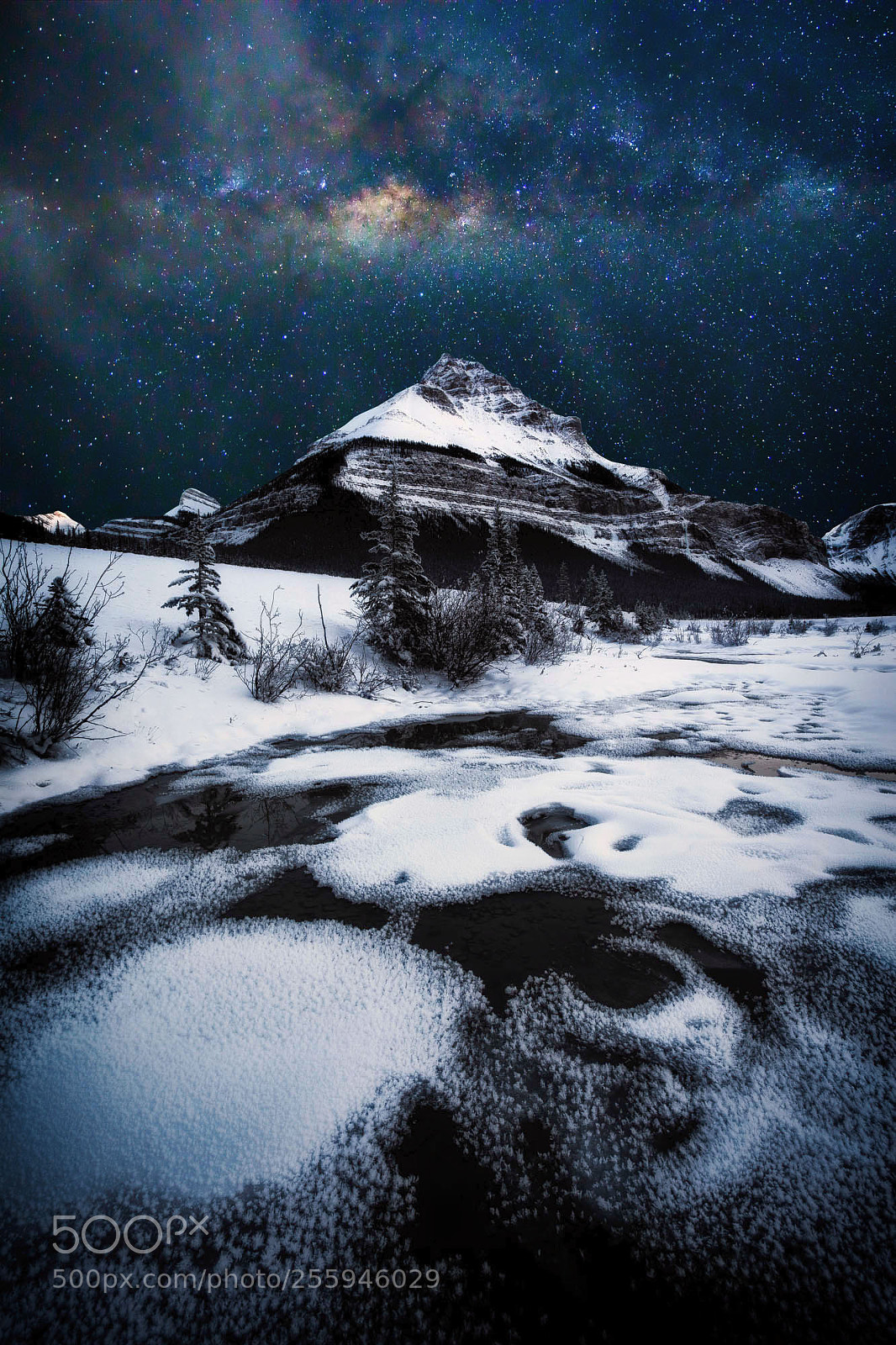 Canon EOS 6D sample photo. "winter wonderland" photography