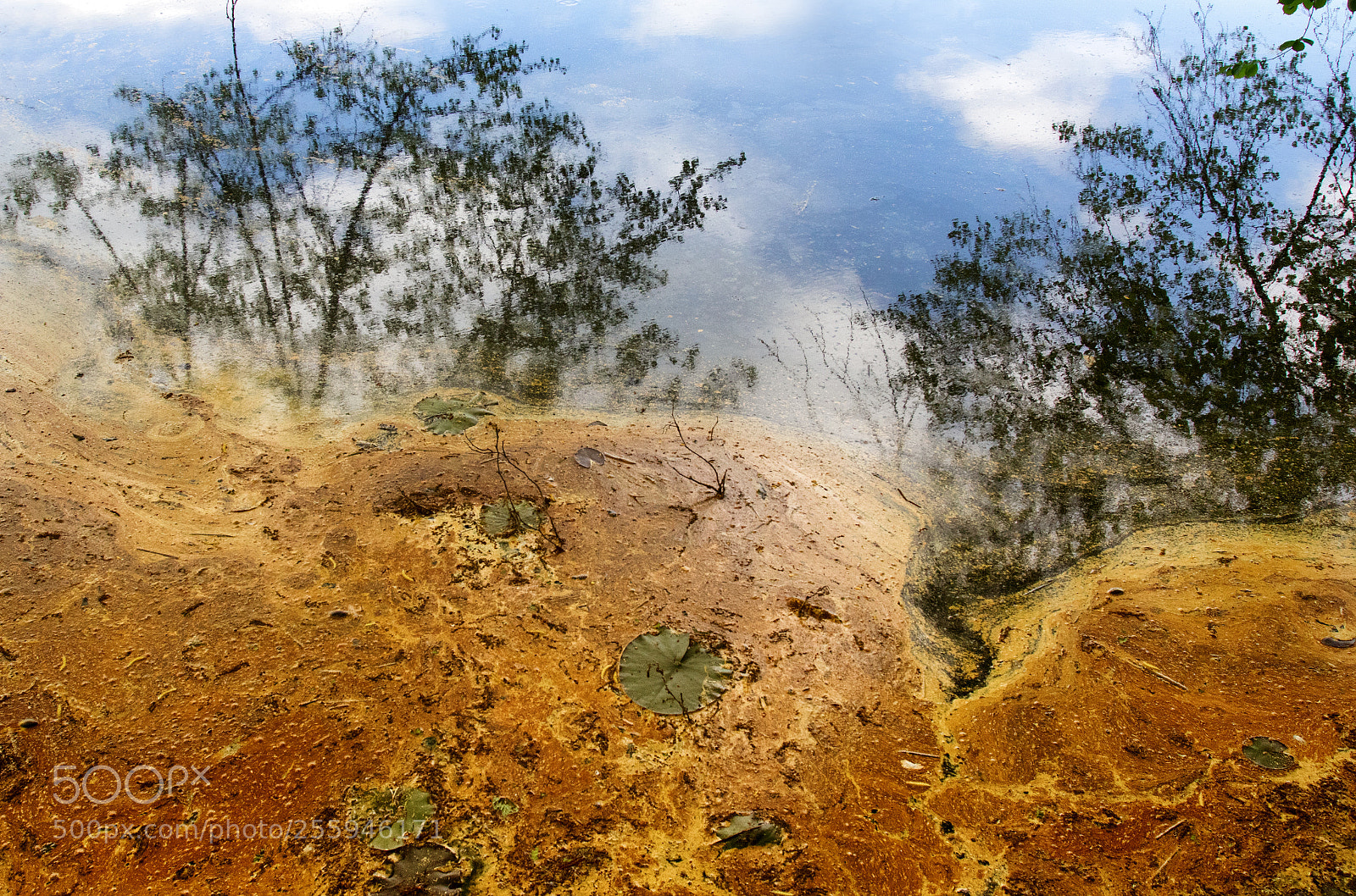 Canon EOS 7D Mark II sample photo. Ul6a4753-bearbeitet-bearbeitet photography