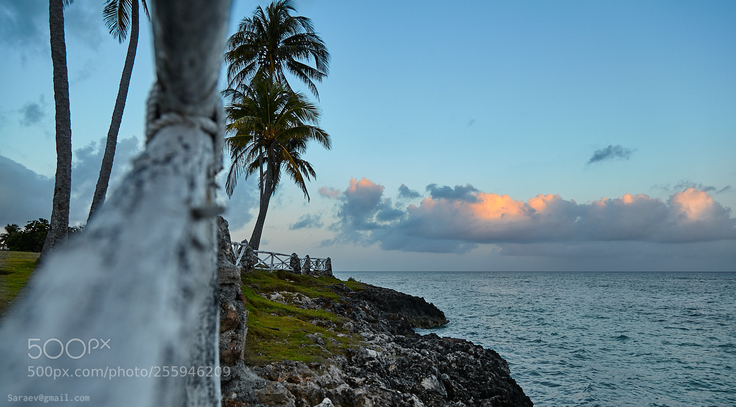 Canon EOS 5D Mark II sample photo. Guardalavaca photography