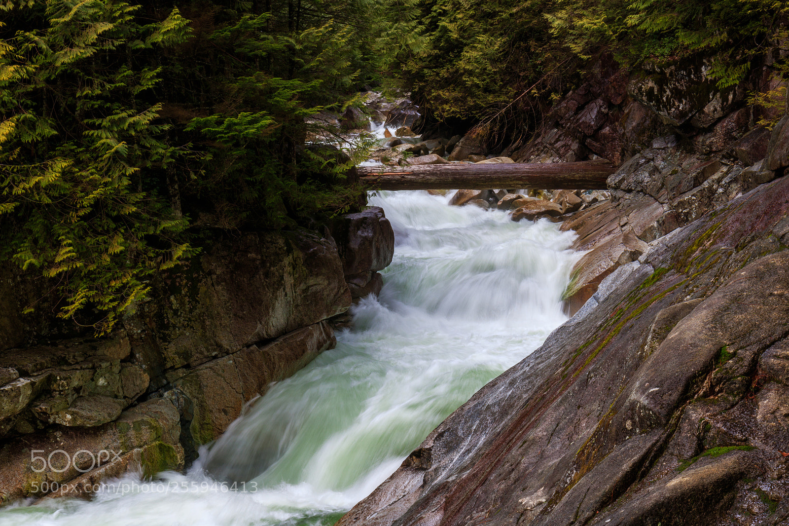 Canon EOS 750D (EOS Rebel T6i / EOS Kiss X8i) sample photo. The curves of nature photography
