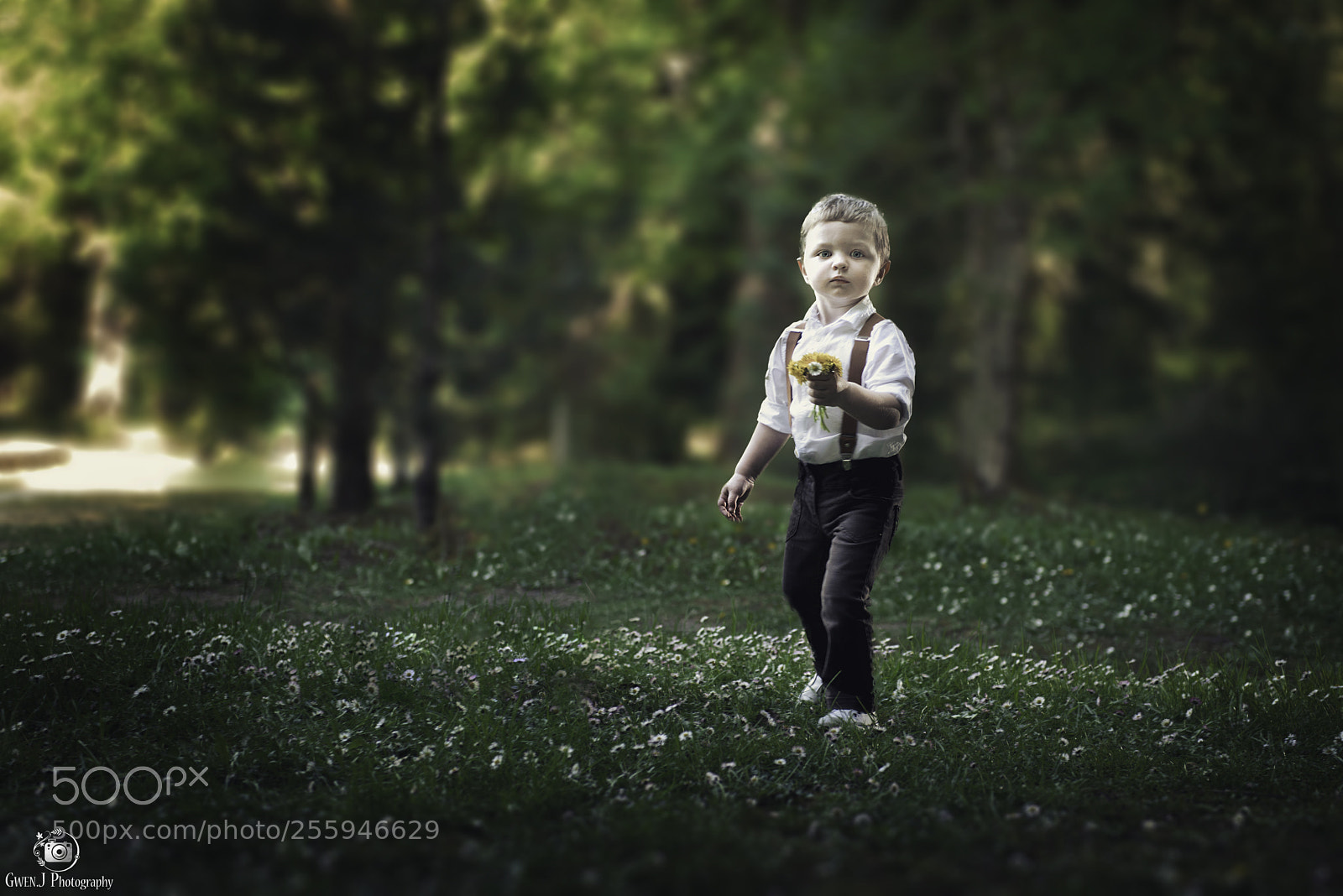 Nikon D800 sample photo. Victor web photography
