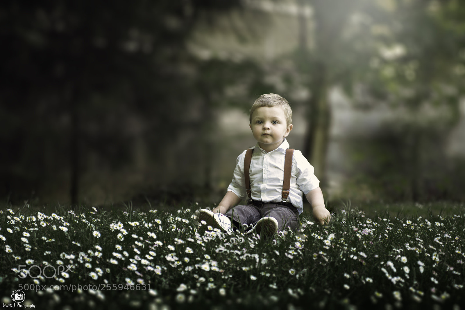 Nikon D800 sample photo. Victor web photography