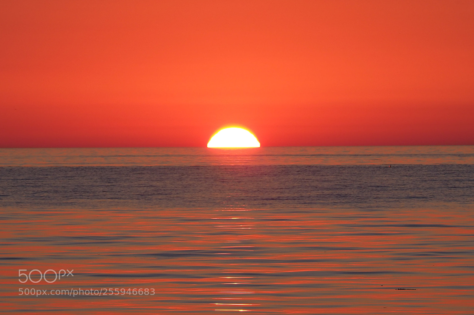 Olympus OM-D E-M1 Mark II sample photo. Sunset photography