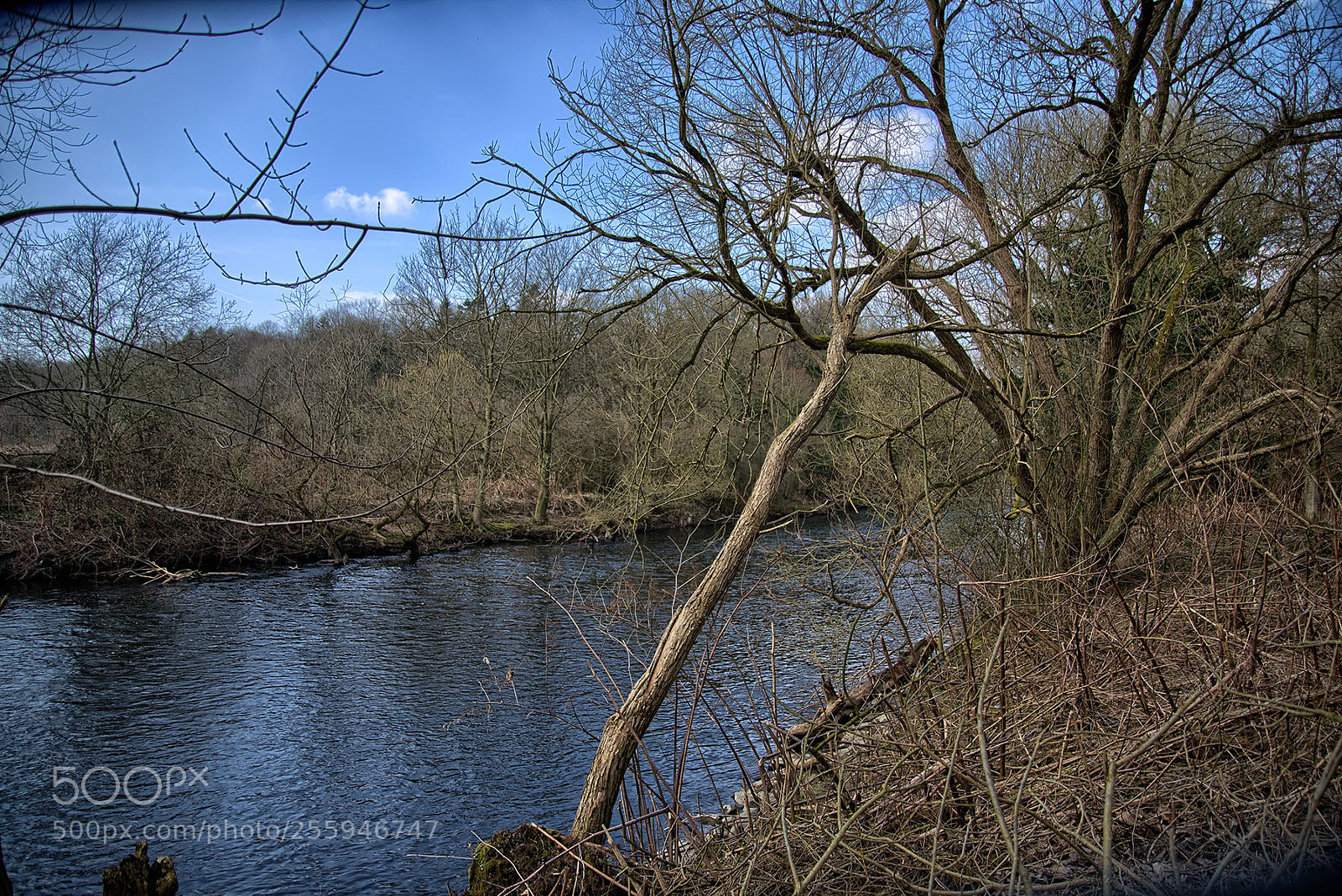 Nikon D800 sample photo. Balken @ wupper photography