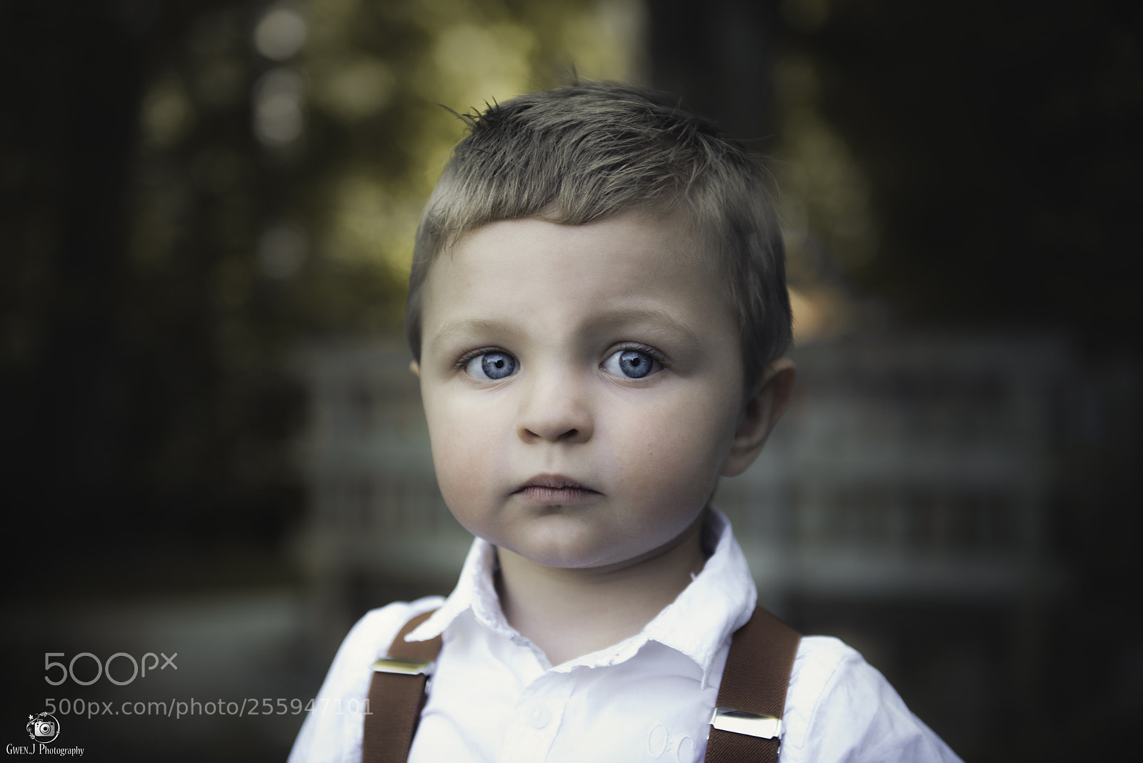 Nikon D800 sample photo. Victor web photography