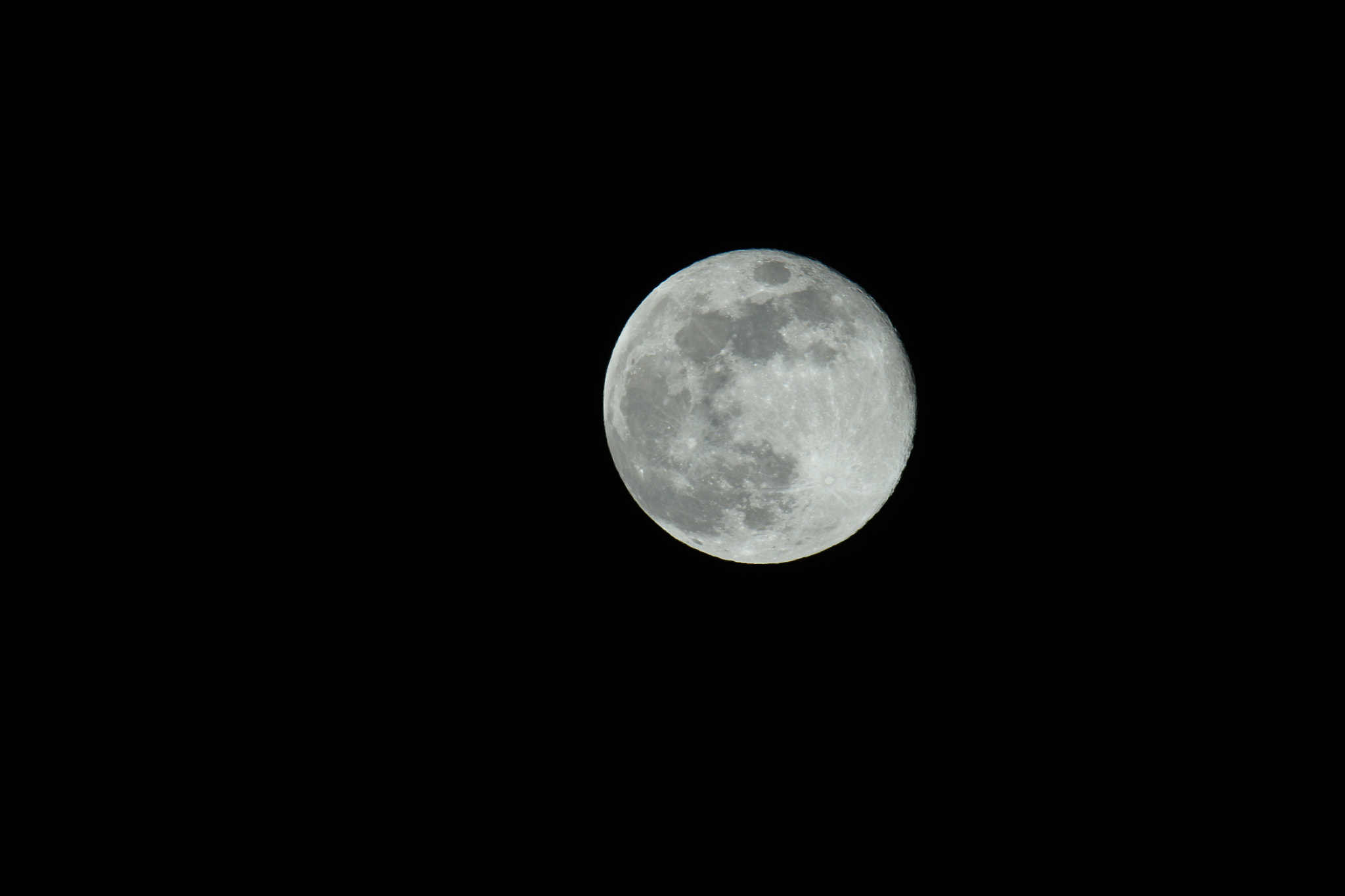 Tamron SP 150-600mm F5-6.3 Di VC USD sample photo