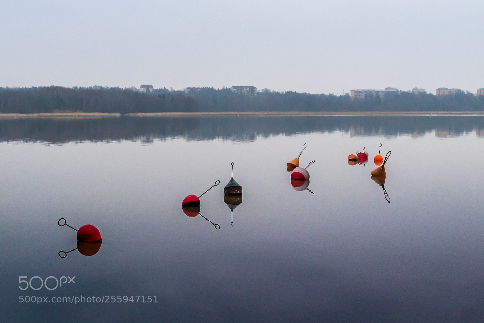 Canon EOS 80D sample photo. 8 things money can't buoy photography