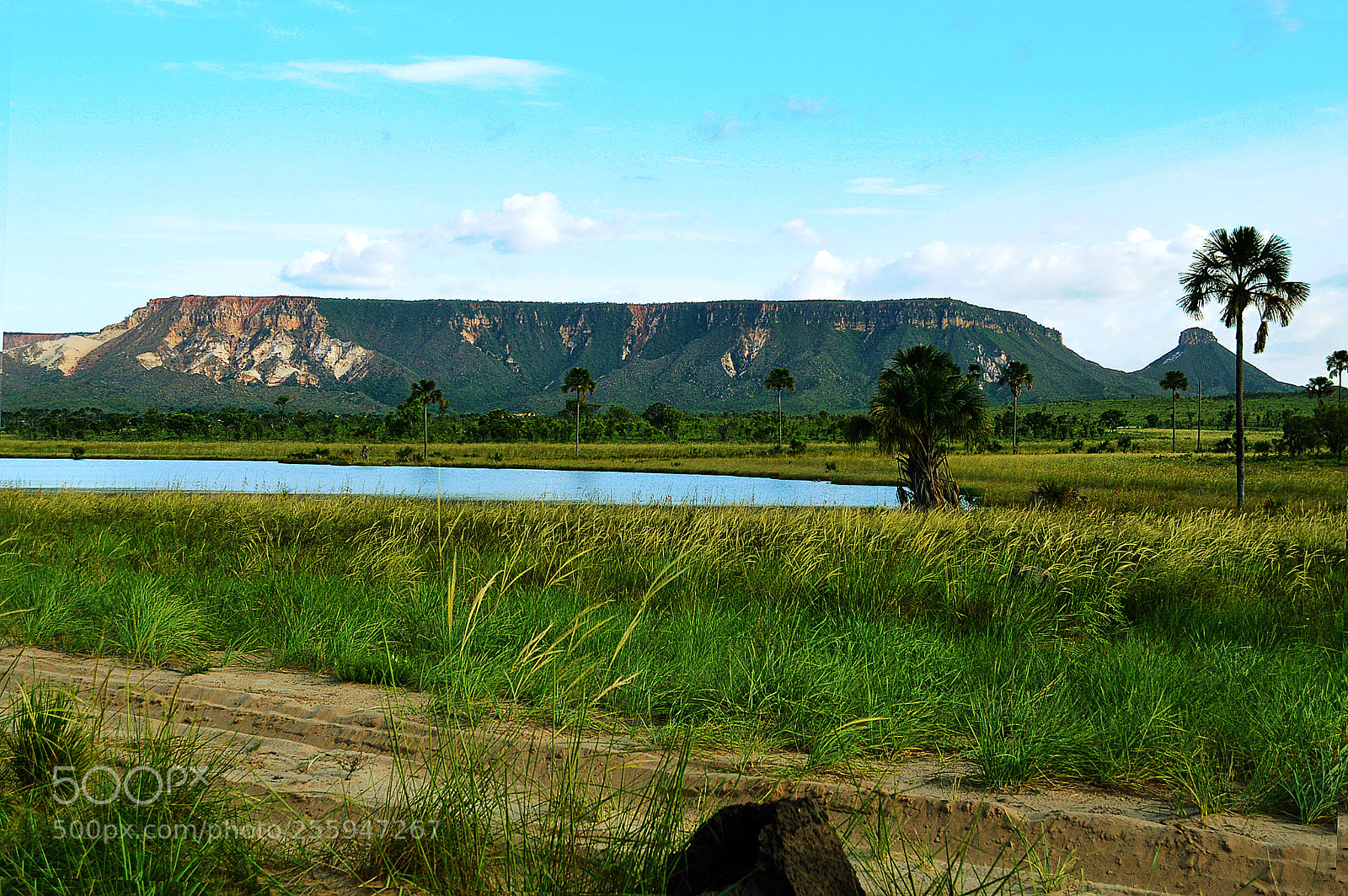 Nikon D3200 sample photo. Jalapao photography