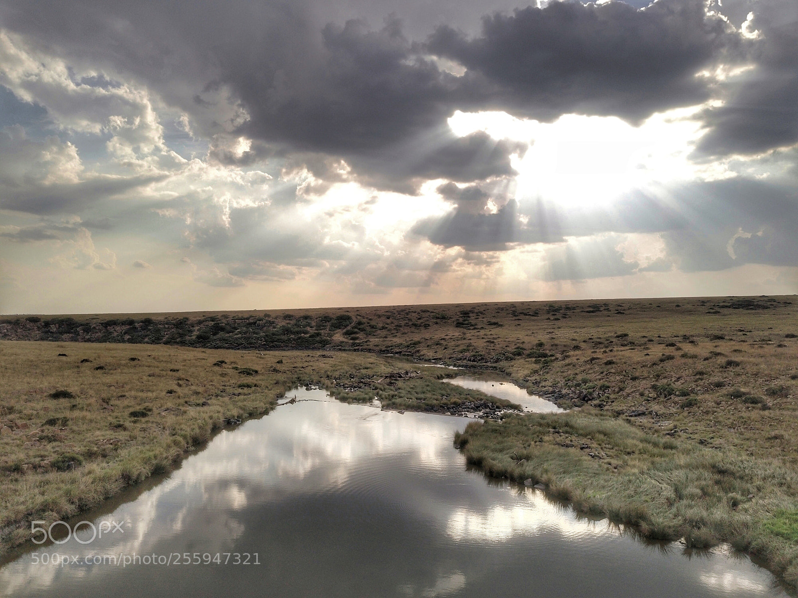 DJI FC220 sample photo. 123 photography