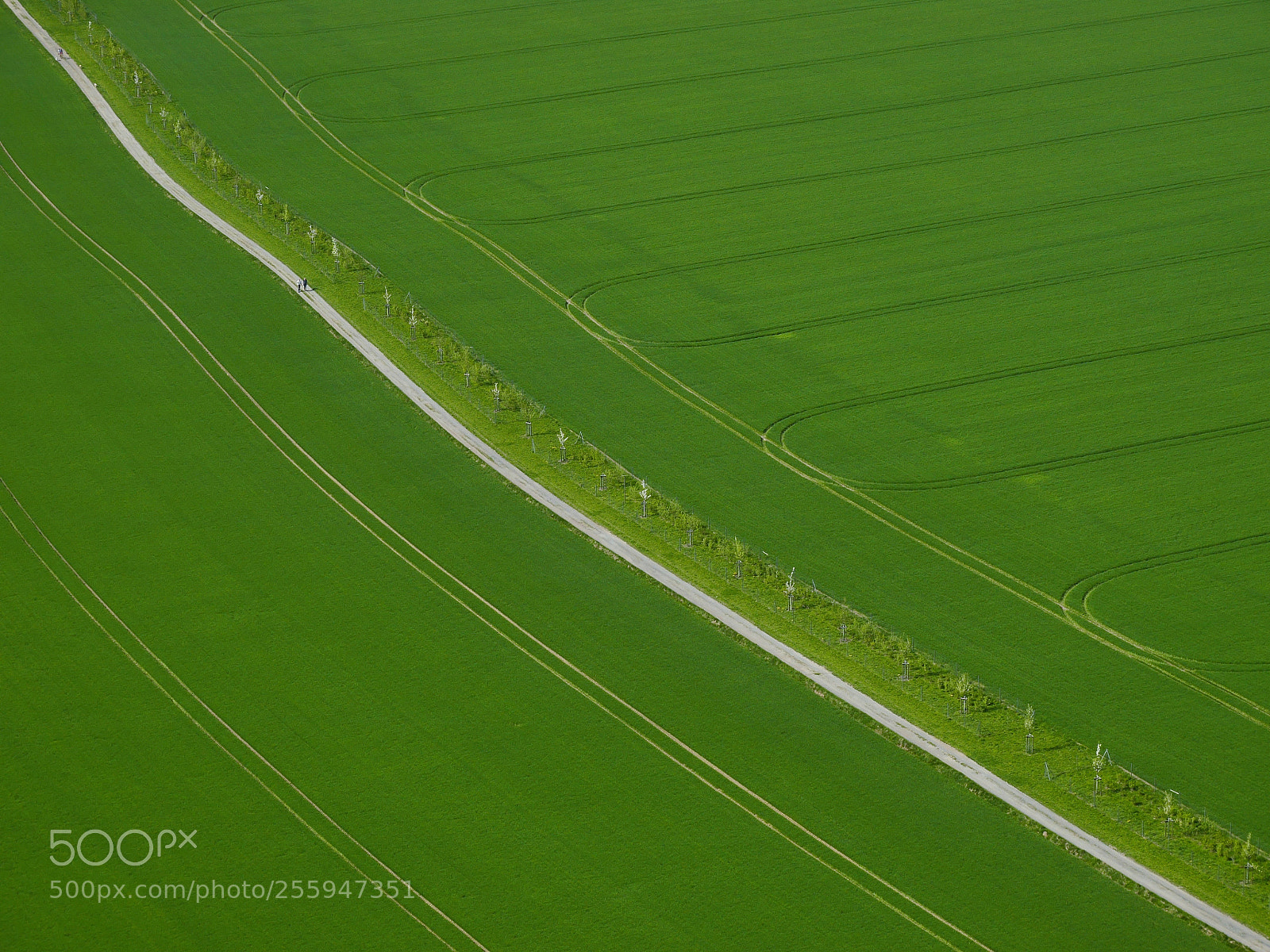 Panasonic Lumix DMC-G6 sample photo. Walk the line photography