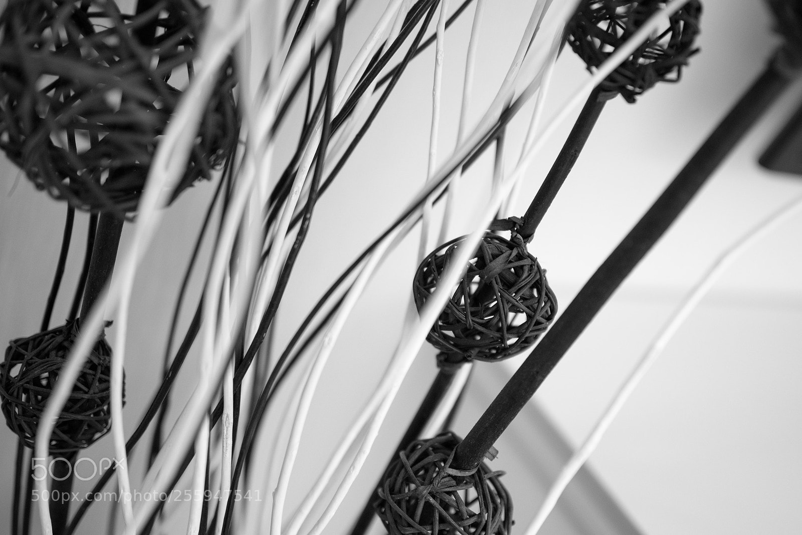 Nikon D810 sample photo. Ee photography