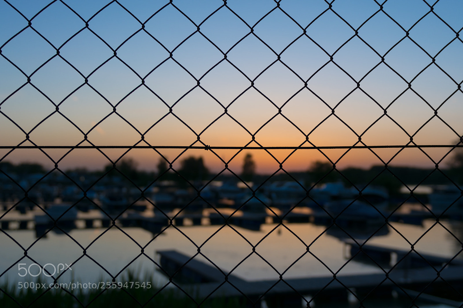 Nikon D7100 sample photo. The fence photography