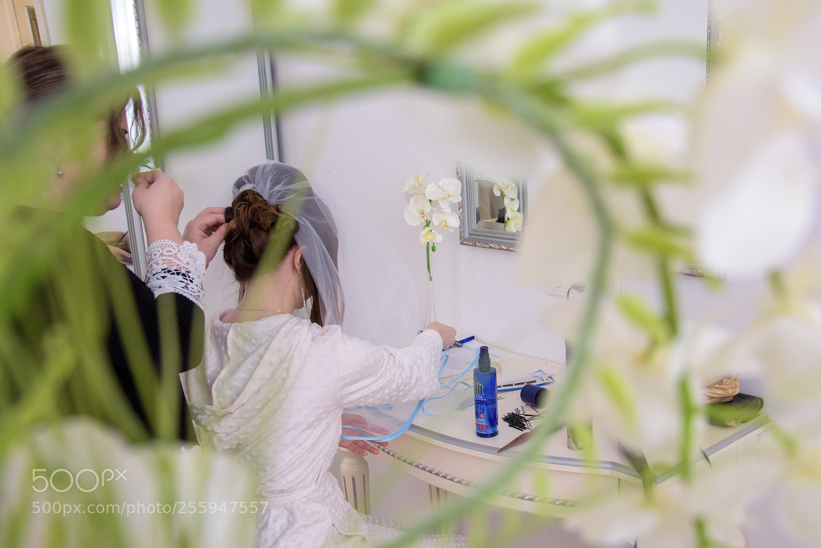 Nikon D810 sample photo. Ee photography