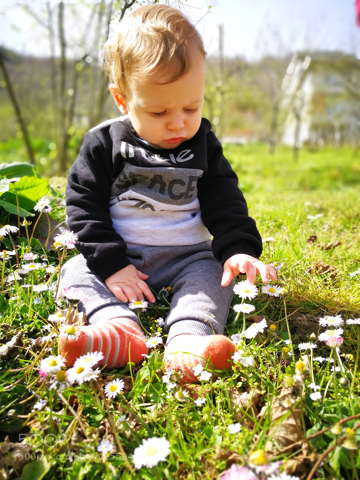 HUAWEI P10 sample photo. Edf photography